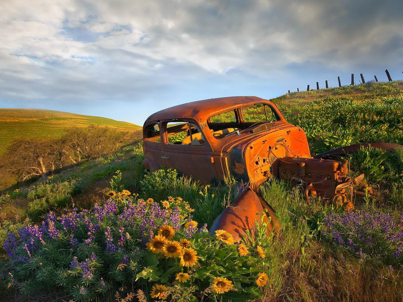 1600x1200 Abandoned Cars