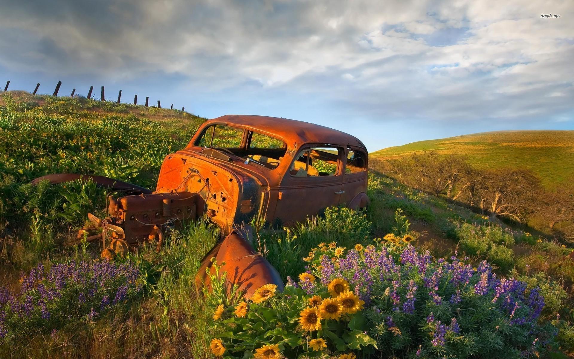 1920x1200 Free download Abandoned cars steering wheel wallpaper Wallpaper Wide HD [1920x1200] for your Desktop, Mobile & Tablet. Explore Abandoned Old Cars Wallpaper. Old Car Wallpaper for Desktop