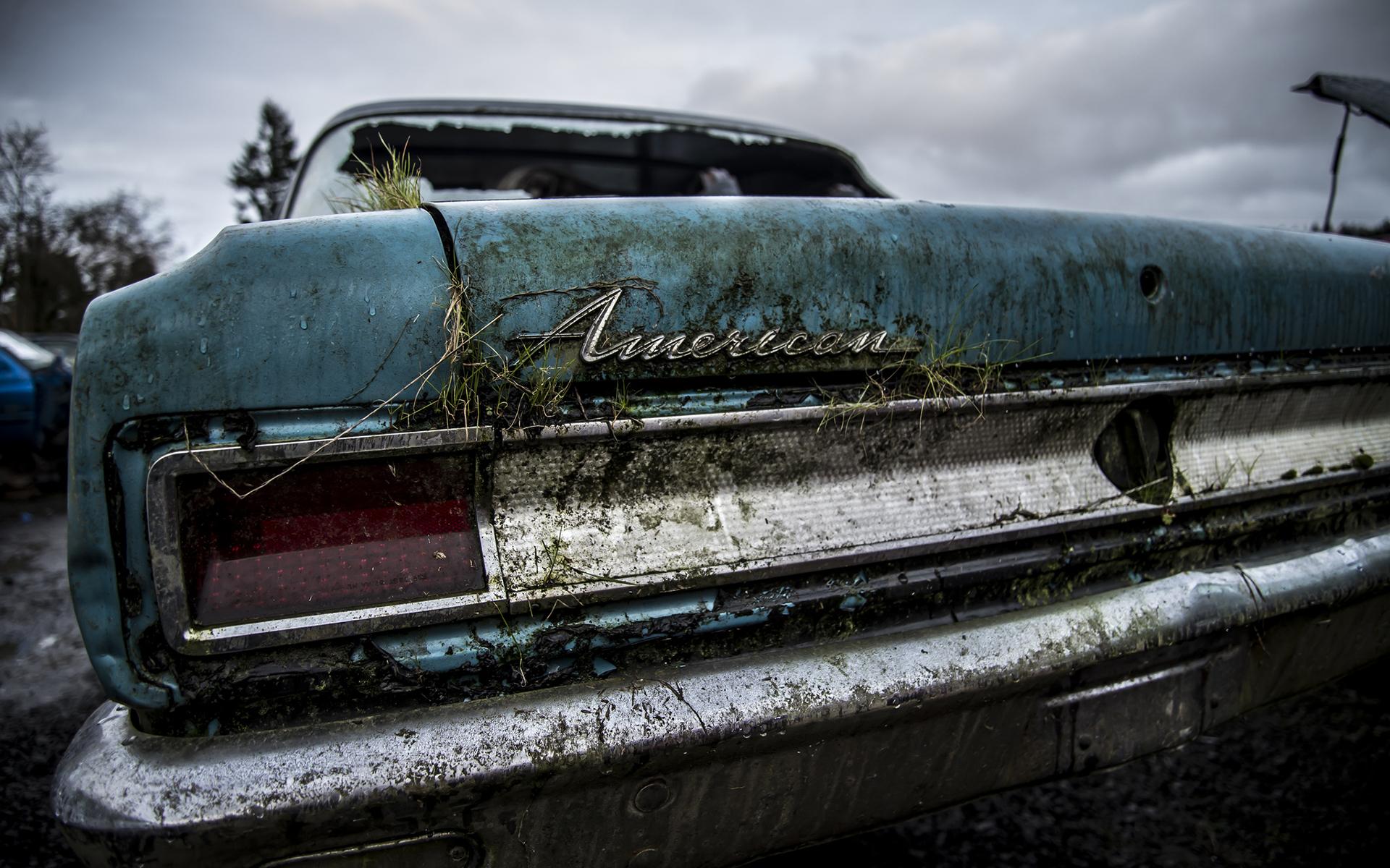 1920x1200 american, Classic, Car, Classic, Overgrowth, Abandon, Deserted, Urban, Decay, Tail, Light, Grass, Dirty Wallpaper HD / Desktop and Mobile Background