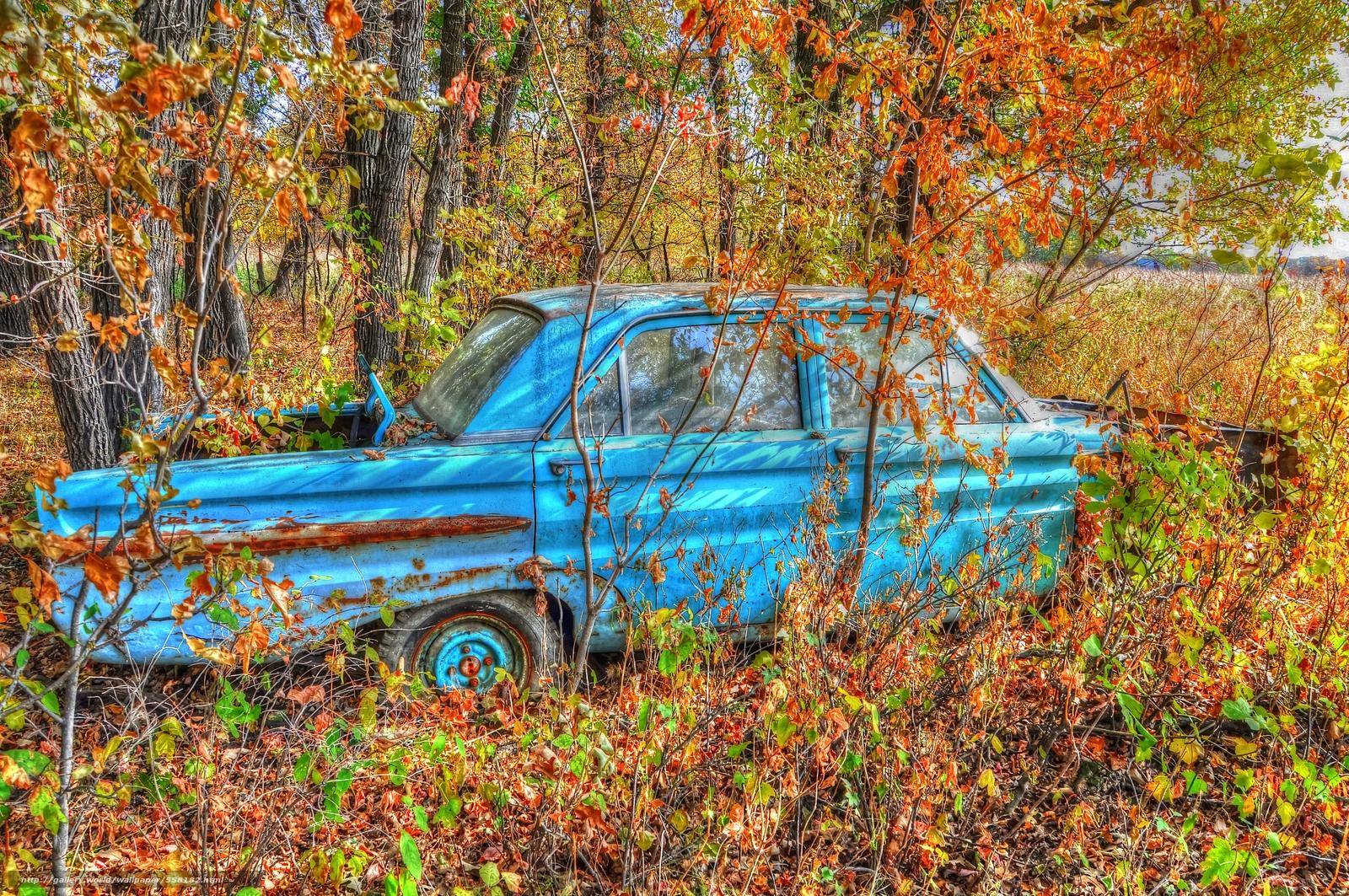 1600x1063 Free download wallpaper forest autumn abandoned car desktop wallpaper [1600x1063] for your Desktop, Mobile & Tablet. Explore Abandoned Cars Wallpaper. Abandoned Places Wallpaper, Faded Wallpaper, Shipwreck Wallpaper