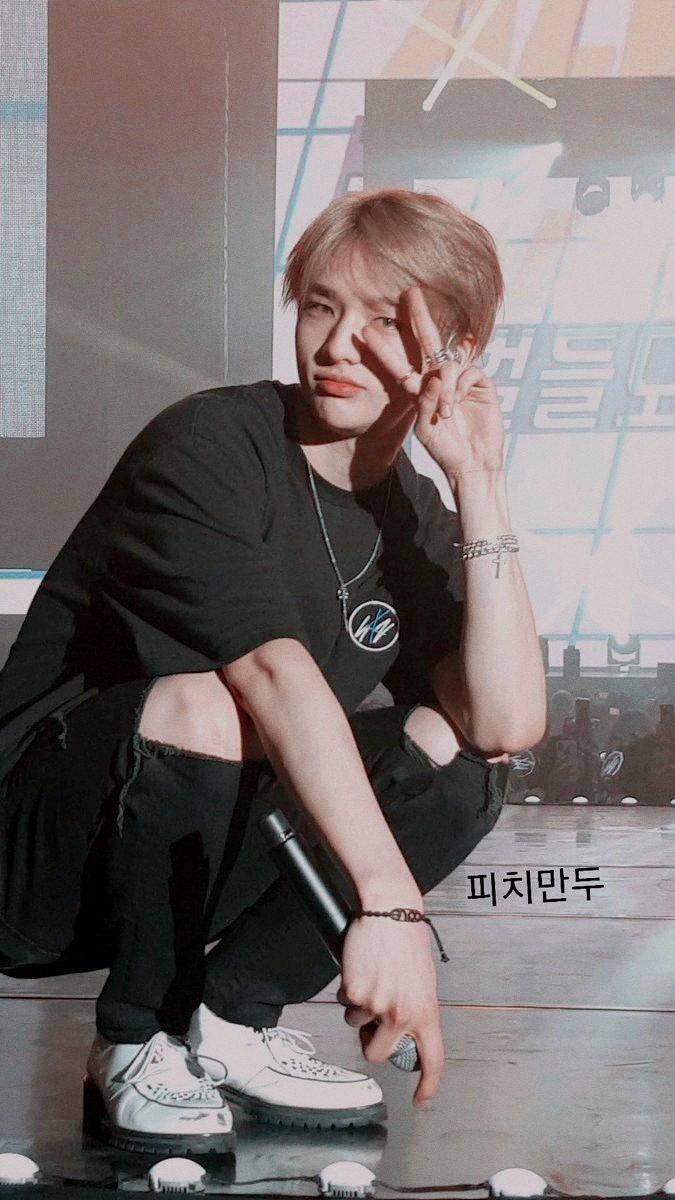 675x1200 stray kids homescreen