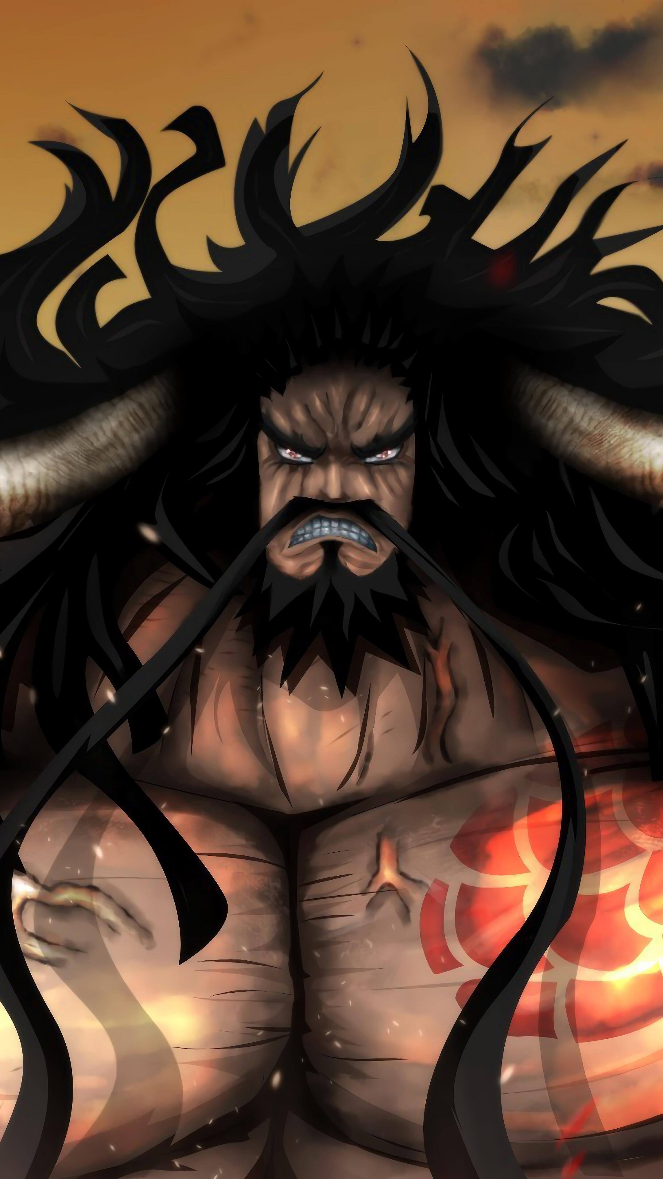 2160x3840 Kaido, One Piece, 4K phone HD Wallpaper, Image, Background, Photo and Picture. Mocah HD Wallpaper