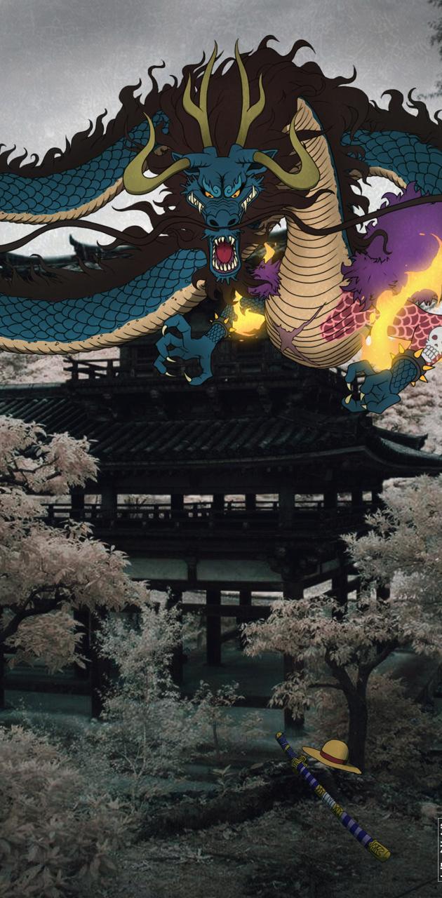 630x1280 Kaido wallpaper