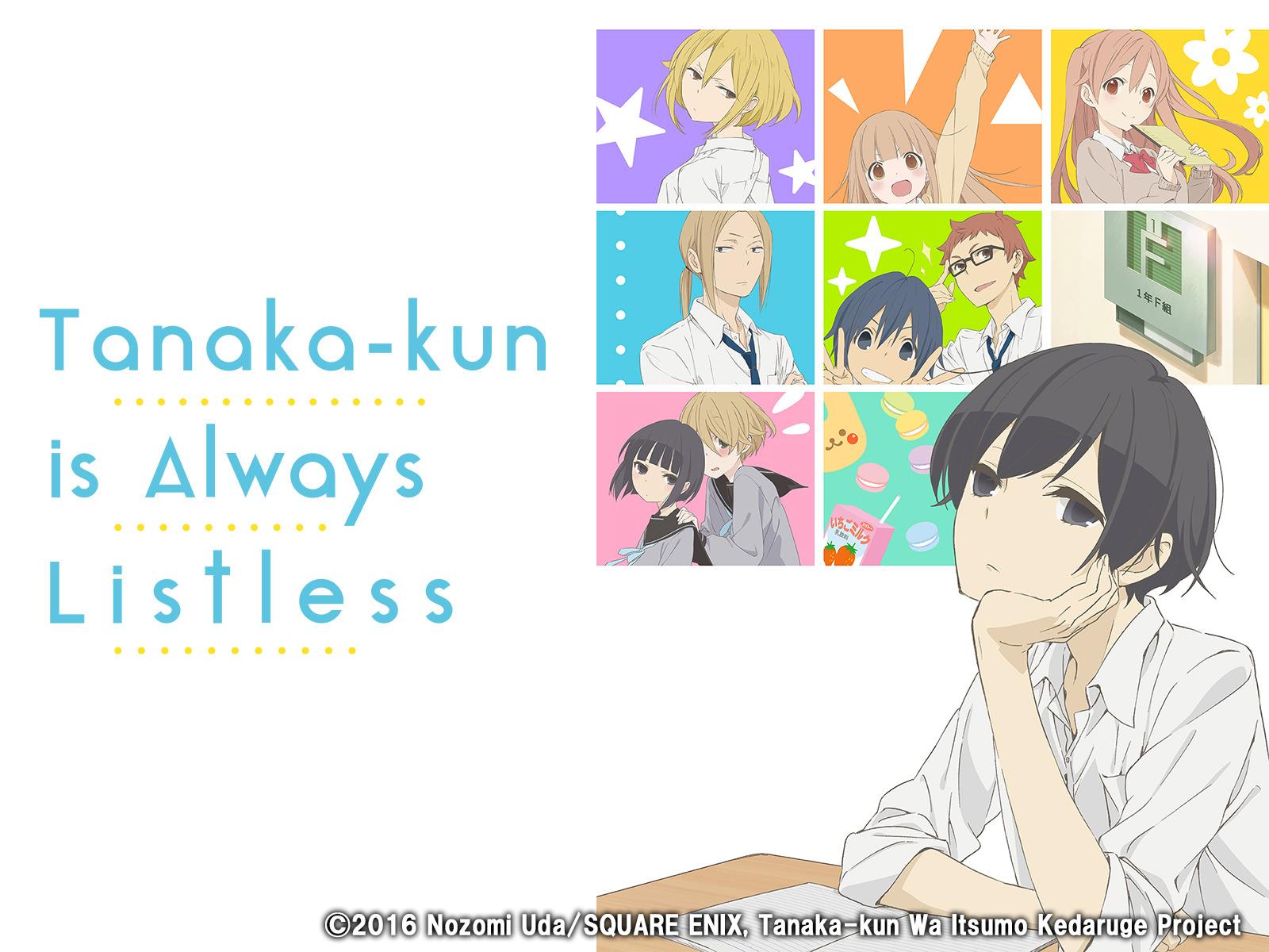 Tanaka Kun Wallpapers - Top Free Tanaka Kun Backgrounds - WallpaperAccess