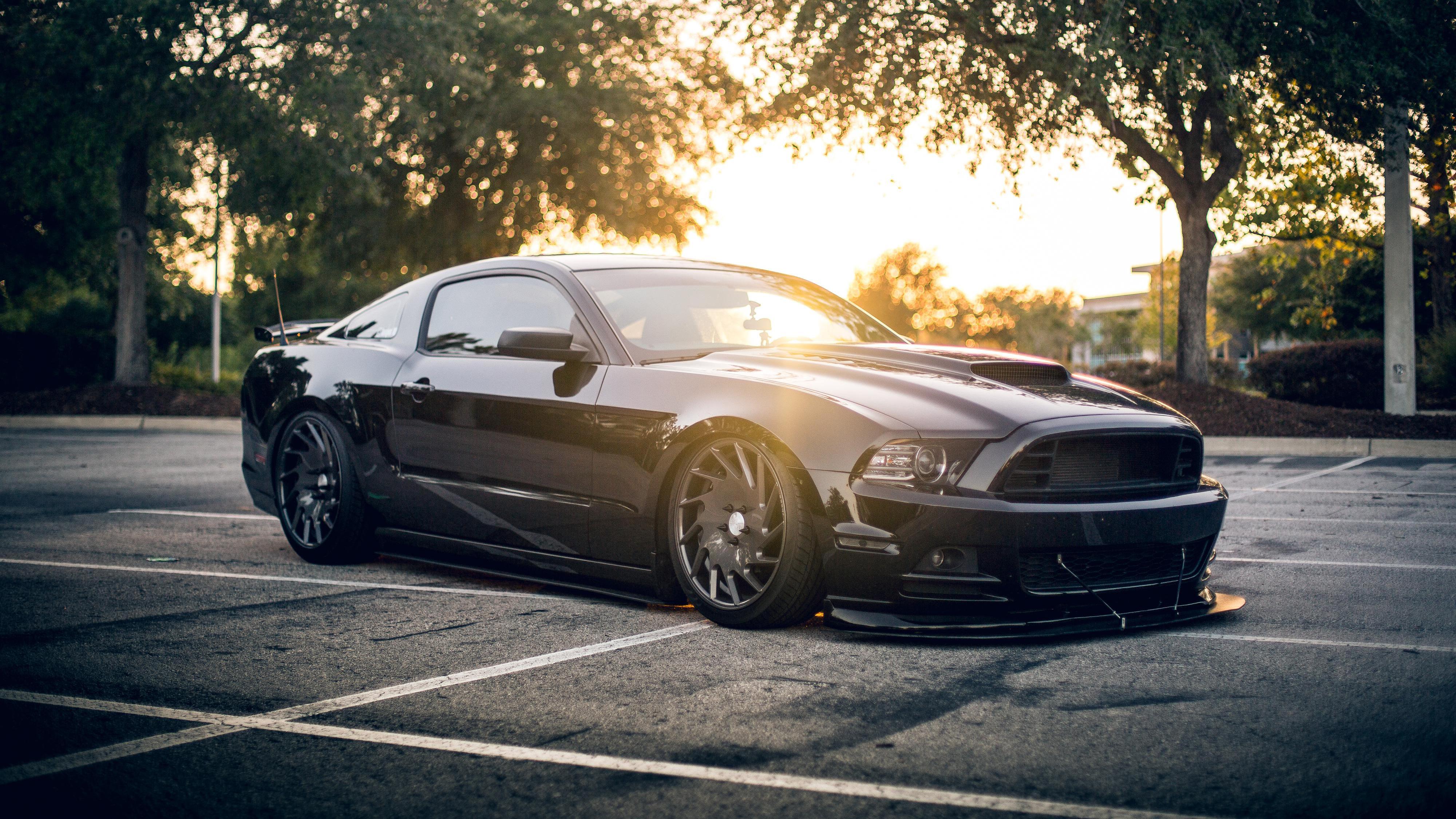 4000x2250 Black Mustang Wallpaper