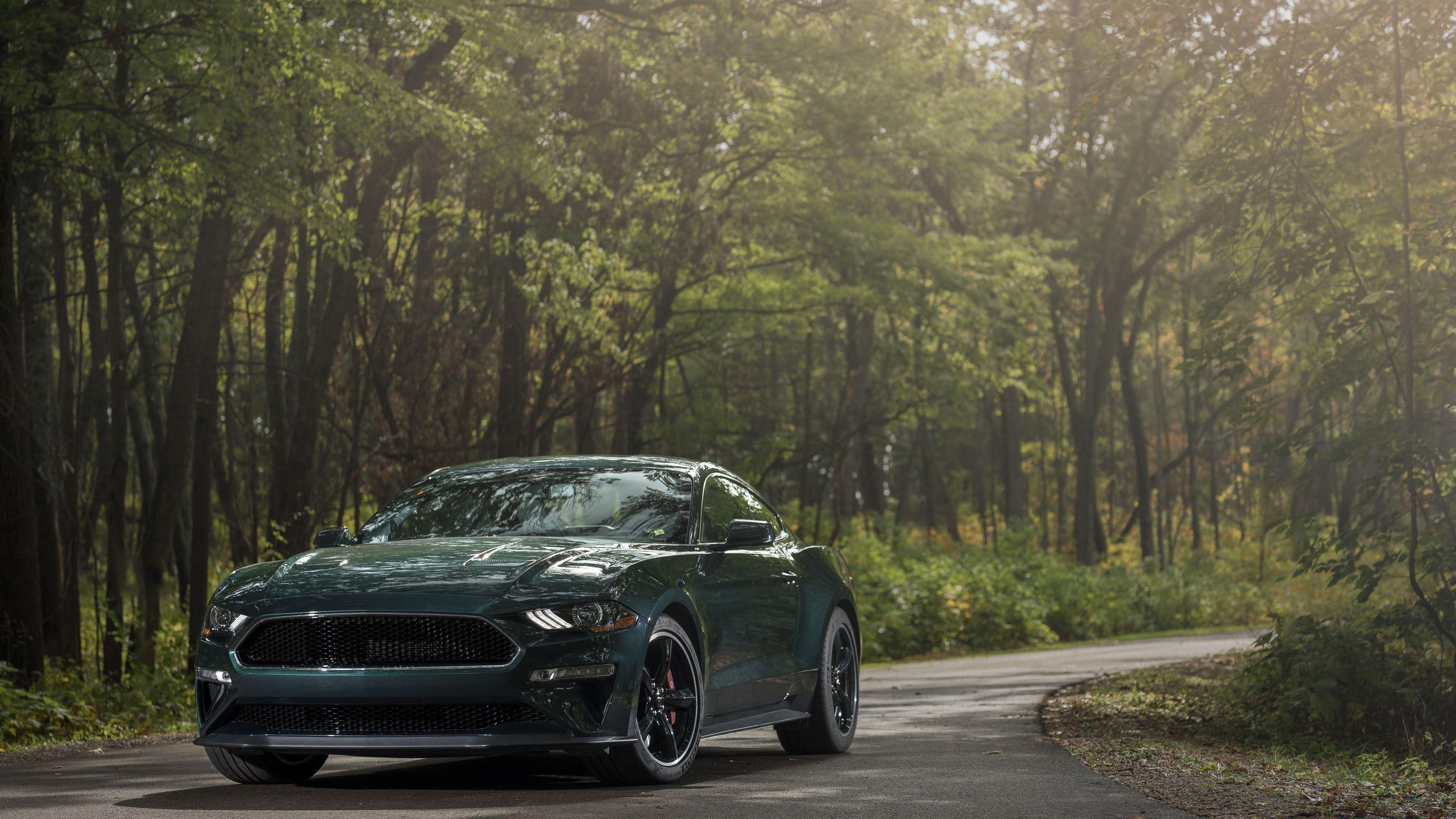 3840x2160 Wallpaper 4k 2019 Ford Mustang Bullitt Front 2018 Cars Wallpaper, 4k Wallpaper, Ford Mustang Wallpaper, Ford Wallpaper, Hd Wallpaper, Mustang Wallpaper
