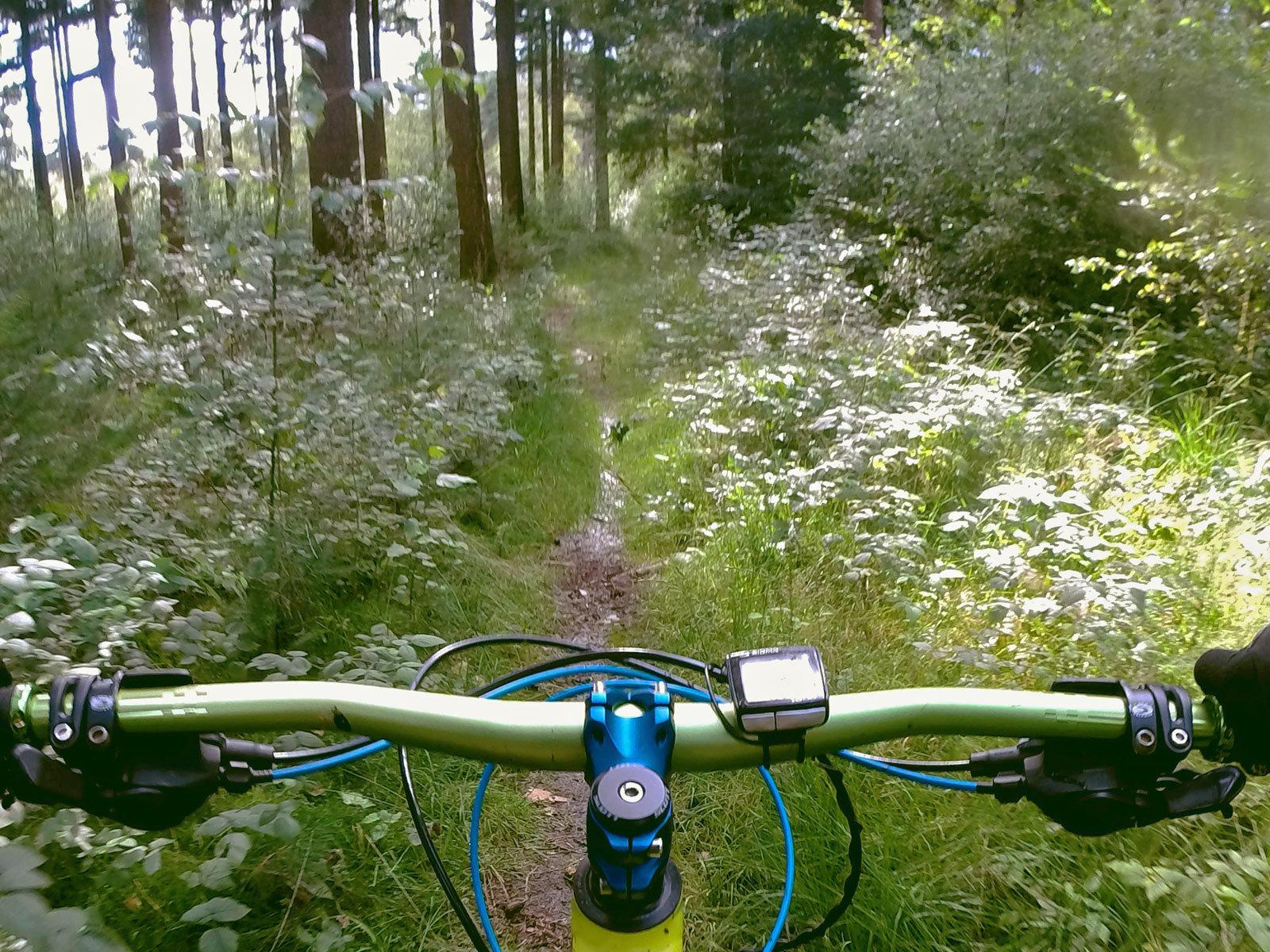 1600x1200 Overly Broad Kegel Alpha Trail Legislation Threatens Cycling In All County Parks