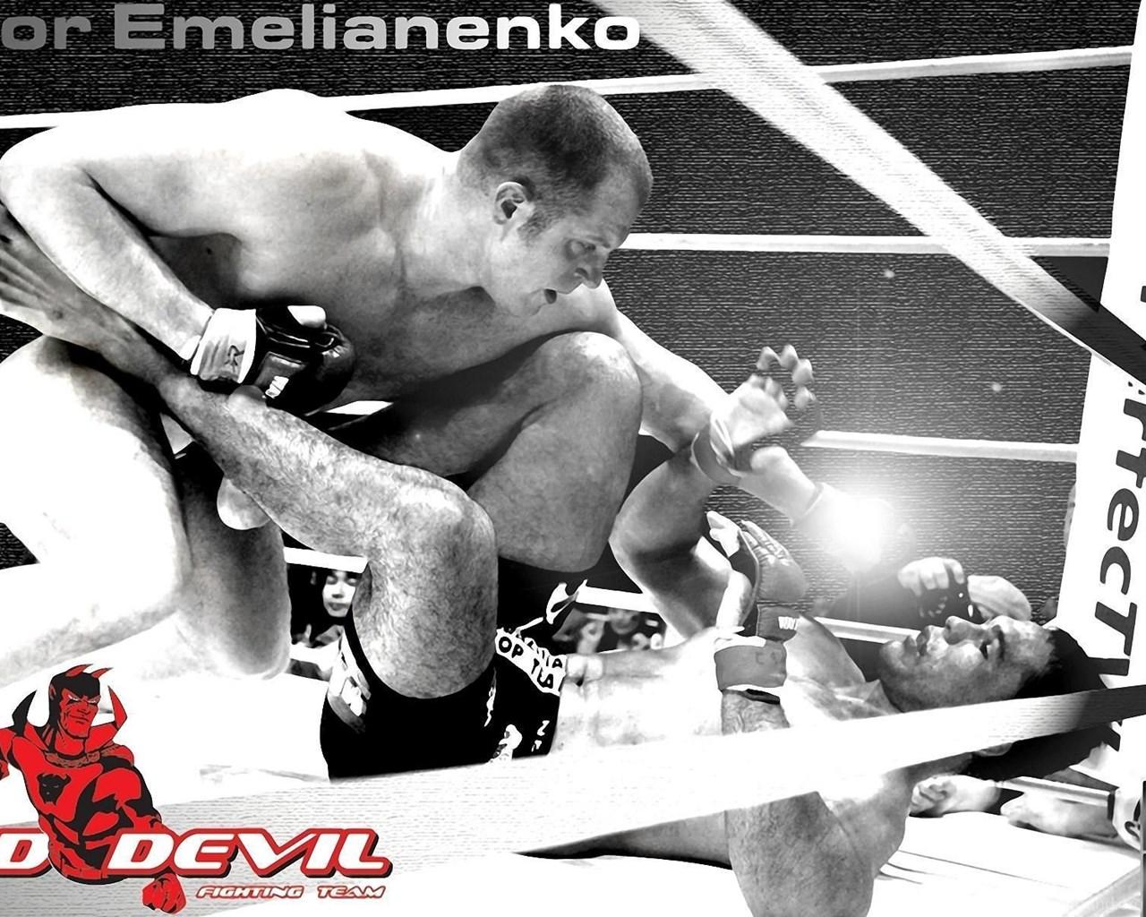 1280x1024 Fedor Emelianenko Wallpaper HD Download Desktop Background