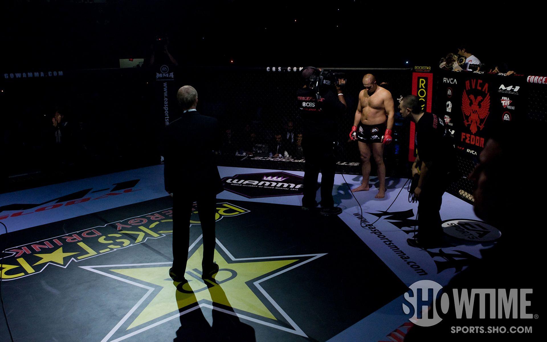1920x1200 Fedor Emelianenko Wallpaper HD Download