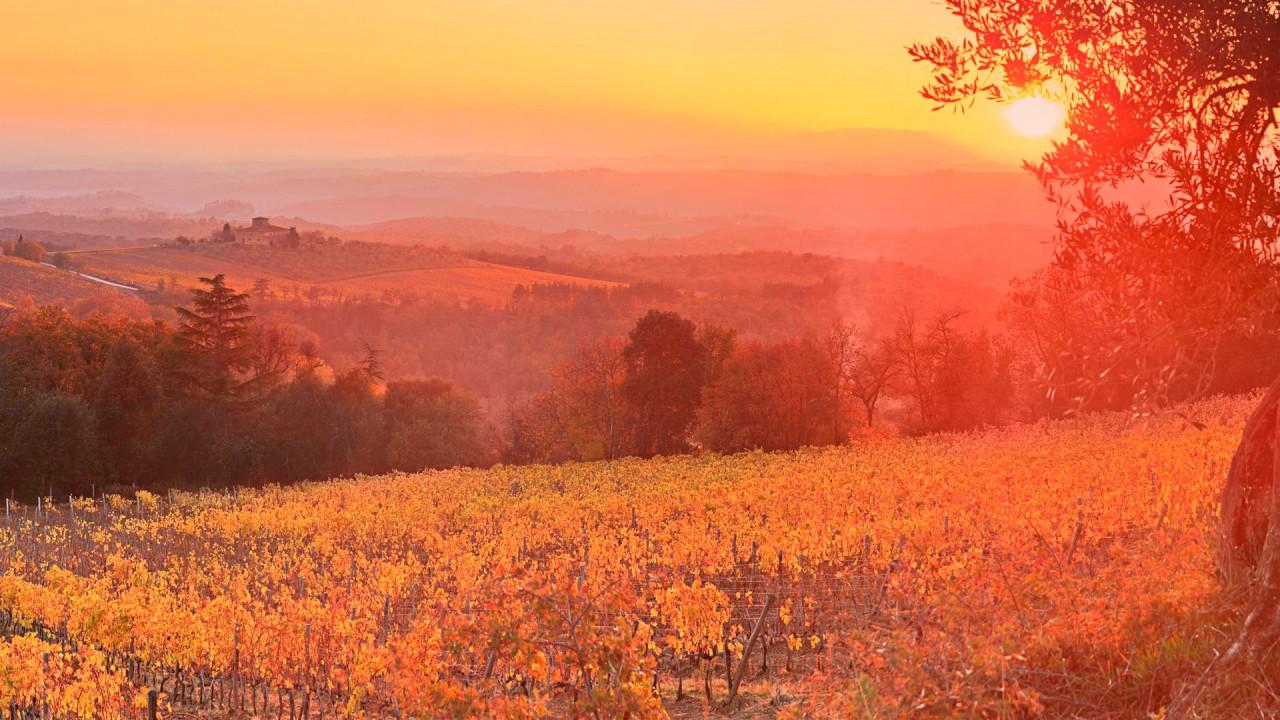 1280x720 Vineyard Sunset Siena Tuscany Italy Wallpaper 3D Models. Free