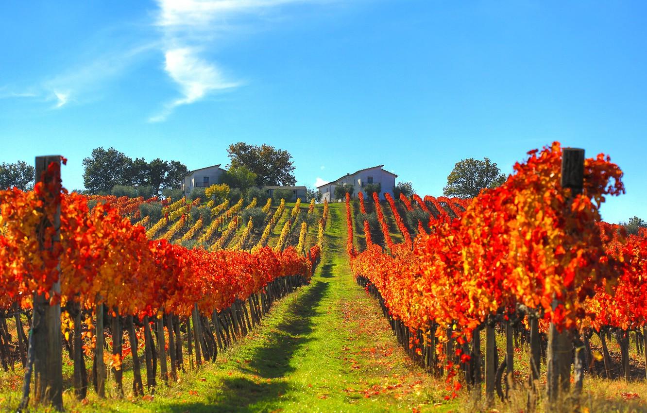 1332x850 Wallpaper autumn, house, slope, Italy, vineyard image for desktop, section пейзажи