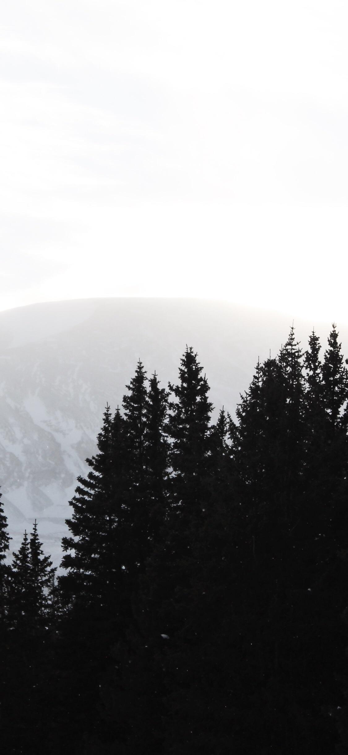 1125x2436 since you guys liked my last one i took of the rocky mountains. iPhone X Wallpaper X Wallpaper HD