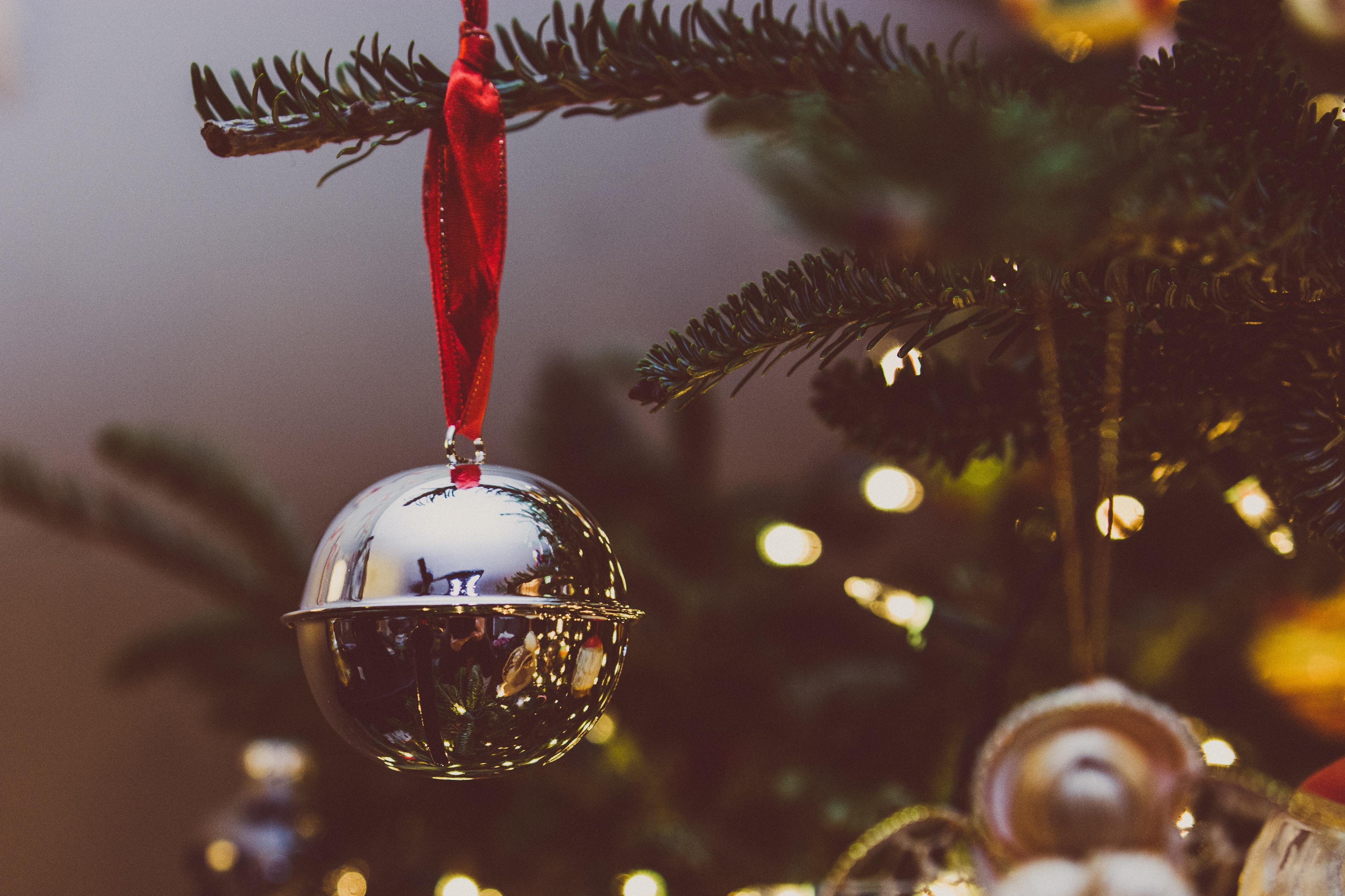 4466x2977 sleigh bell HD wallpaper, Background
