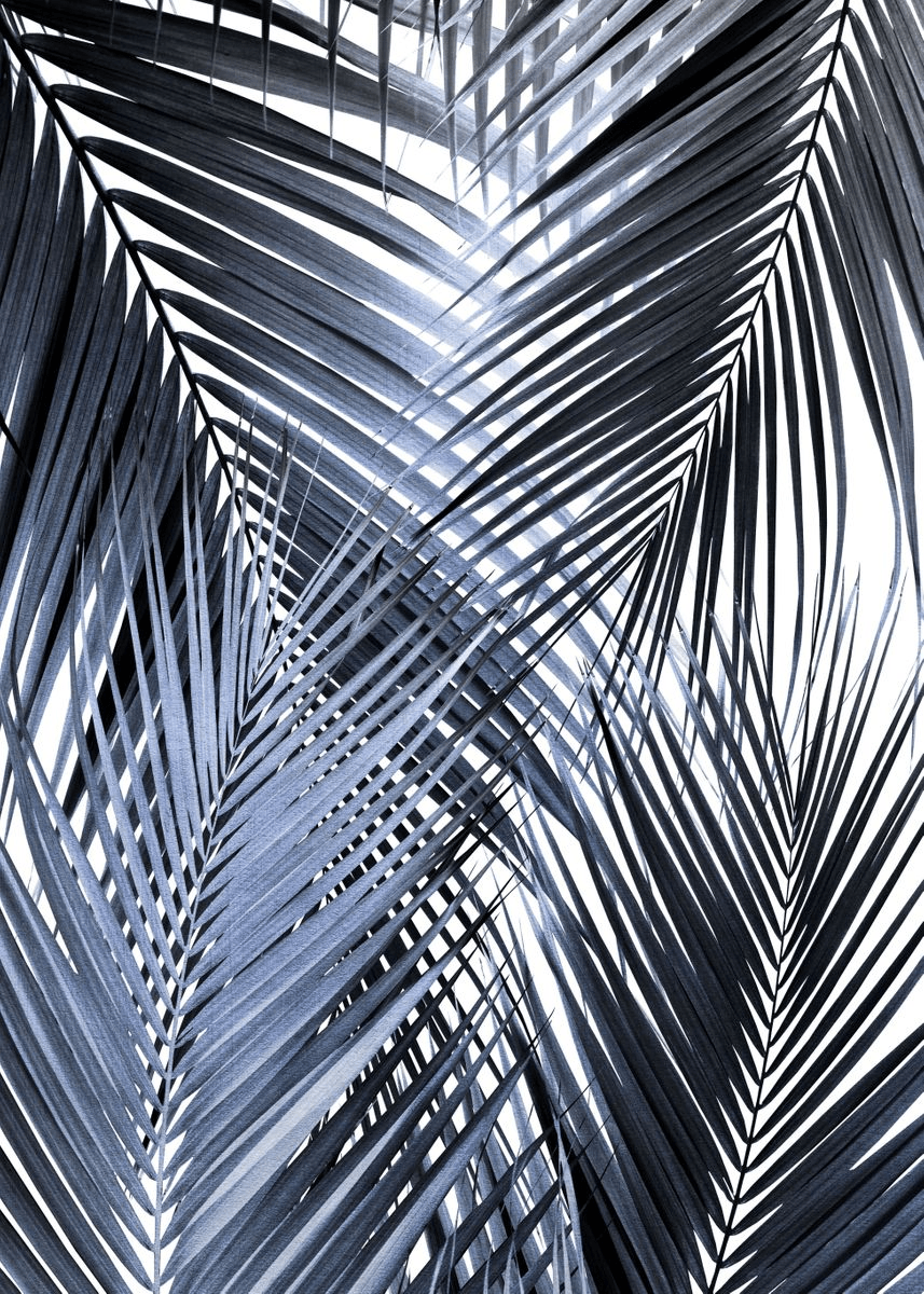 857x1200 Blue Black Palm Leaves 1' Poster. art print by Anita's & Bella's Art. Displate. Palm leaves, Leaves wallpaper iphone, Photography wallpaper