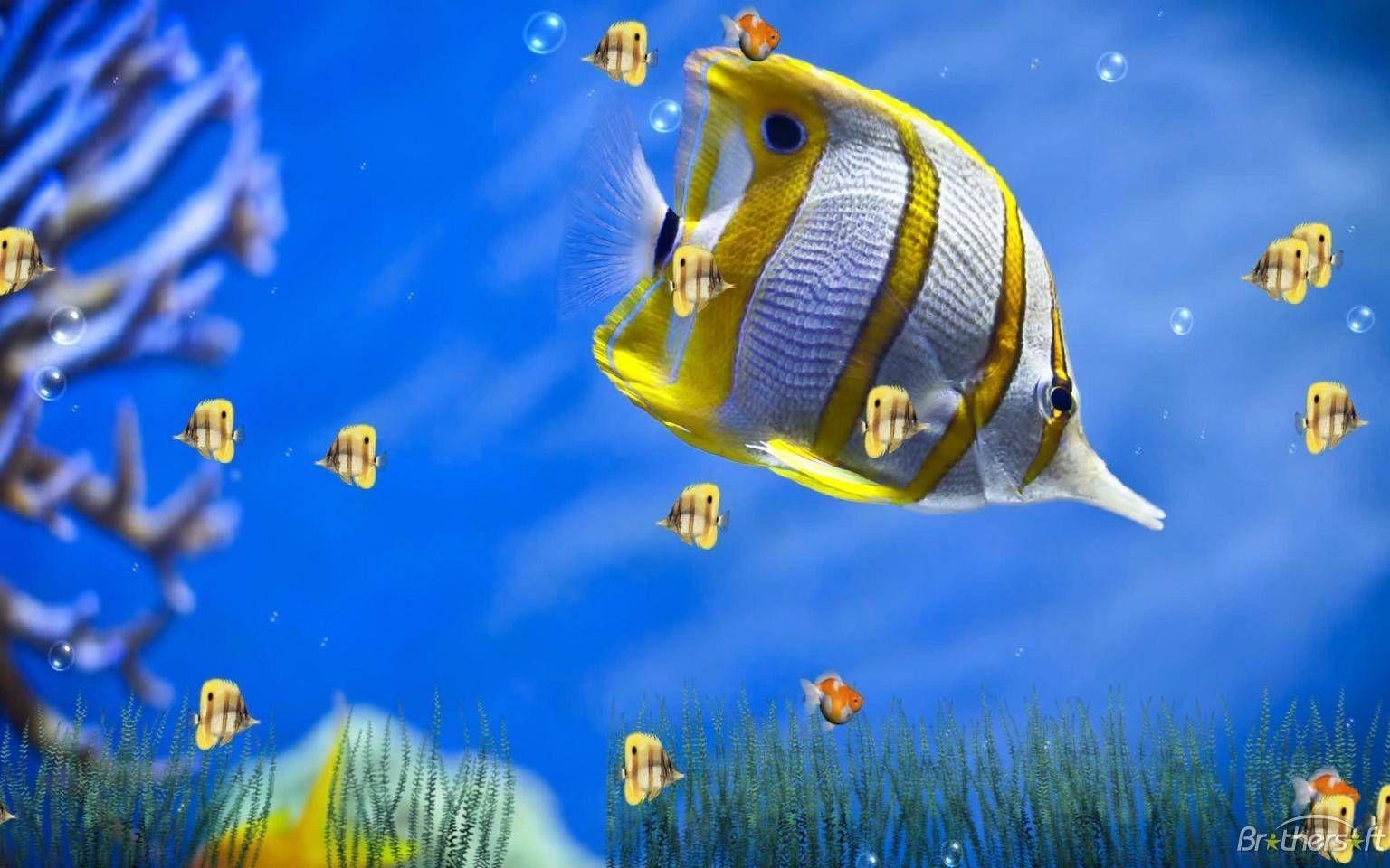 1536x960 Free download 3D Wallpaper For Desktop Download With Animation For Windows [1536x960] for your Desktop, Mobile & Tablet. Explore Samsung S8 Windows 1.0 Wallpaper. Samsung S8 Windows 1.0 Wallpaper