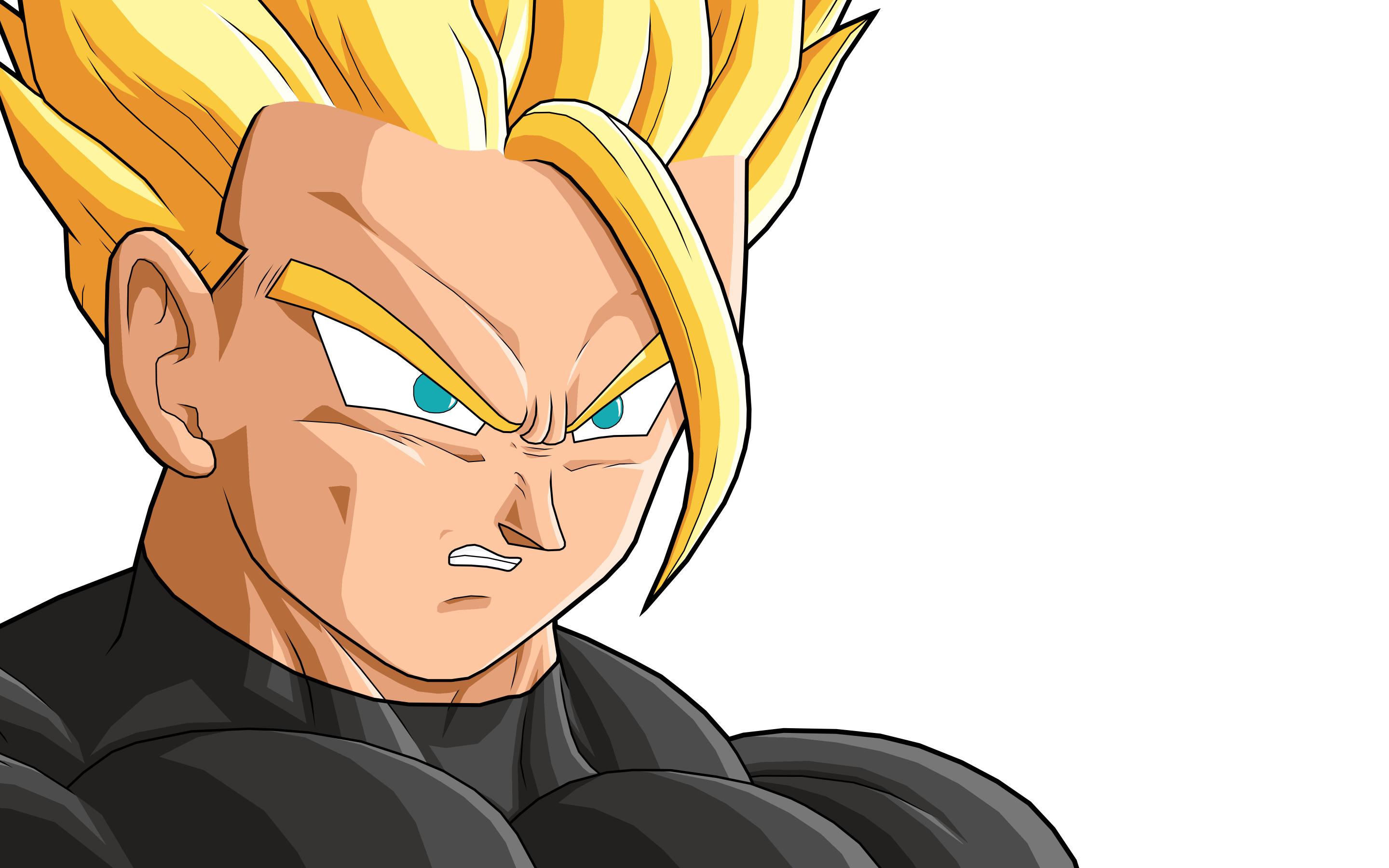 2880x1800 dragon ball z super saiyan gohan wallpaper
