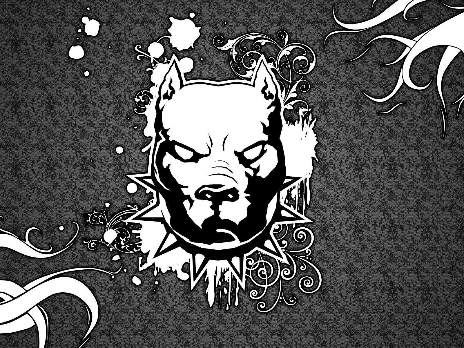 1600x1200 Pitbull Wallpaper Animated Pitbull Wallpaper Collection