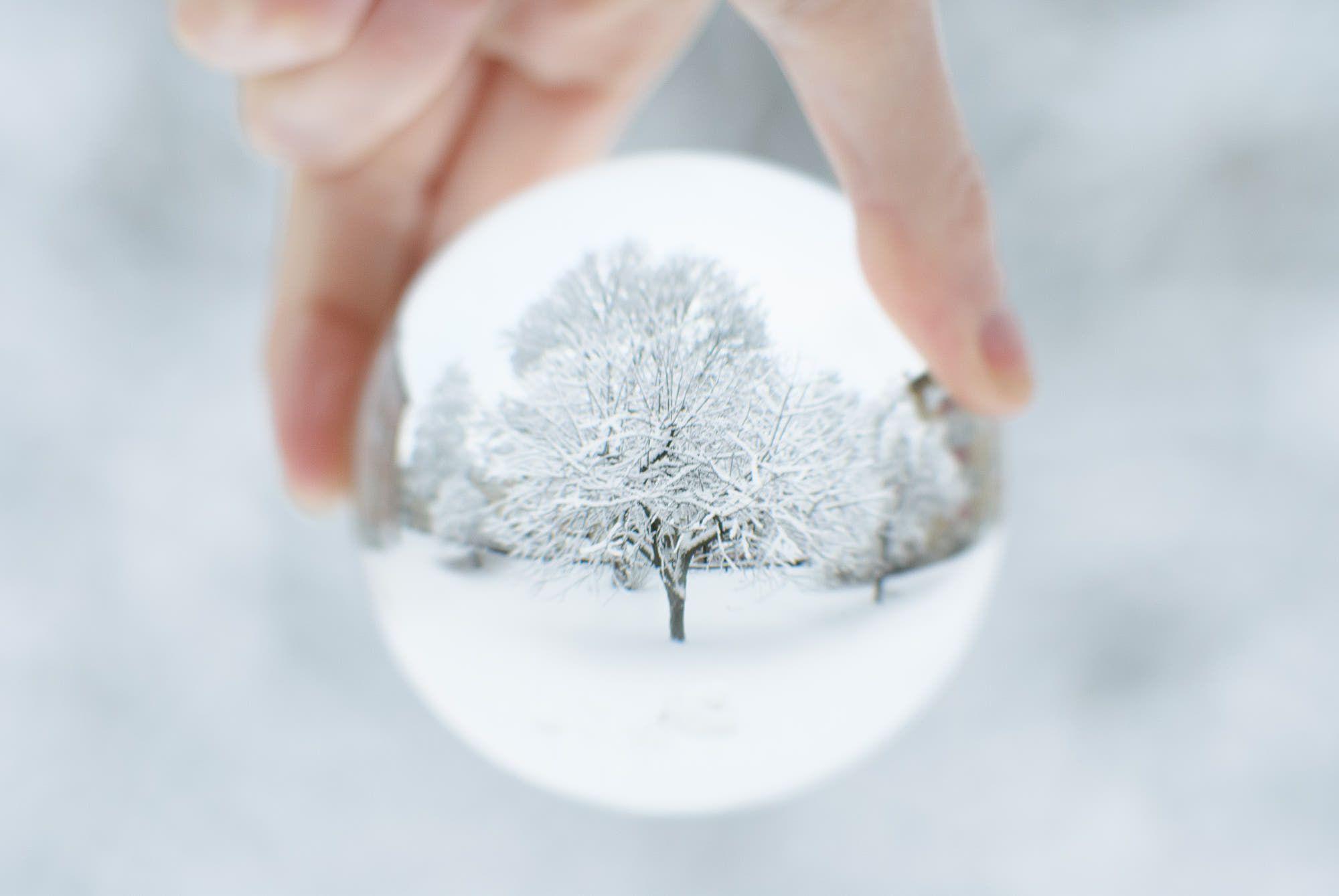 2000x1339 Lensball bauble Reflection of a snow covered tree in a lensball creating bauble effect. Crystal photography, Bubbles photography, Globe photography