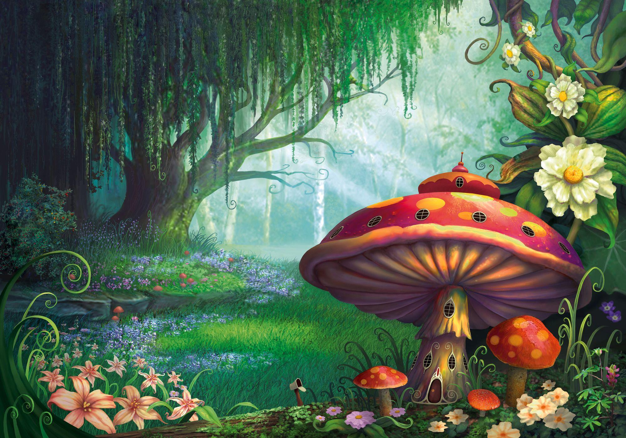 Magic Mushroom Forest Wallpapers - Top Free Mushroom Forest Backgrounds - WallpaperAccess