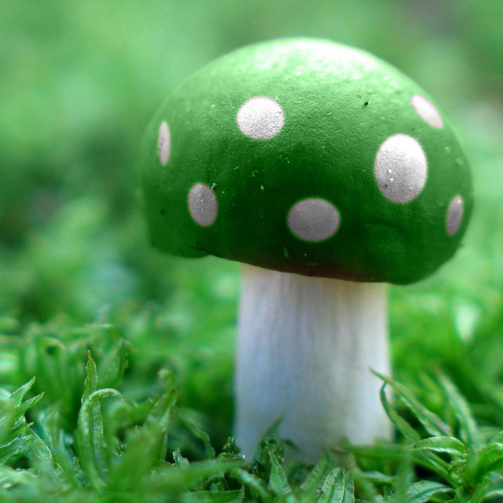 1024x1024 Free download Luigi Magic Mushroom Wallpaper [1024x1024] for your Desktop, Mobile & Tablet. Explore Magic Mushrooms Wallpaper. Shroom Wallpaper, Mario Mushroom Wallpaper, Mushroom Wallpaper