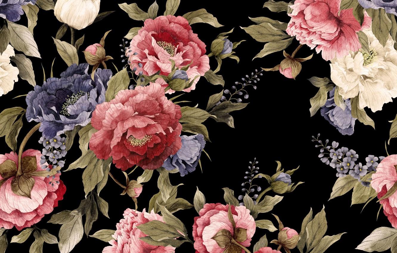 1332x850 Wallpaper flowers, canvas, figure, texture, fabric, black background, peonies, textiles, floral pattern image for desktop, section текстуры