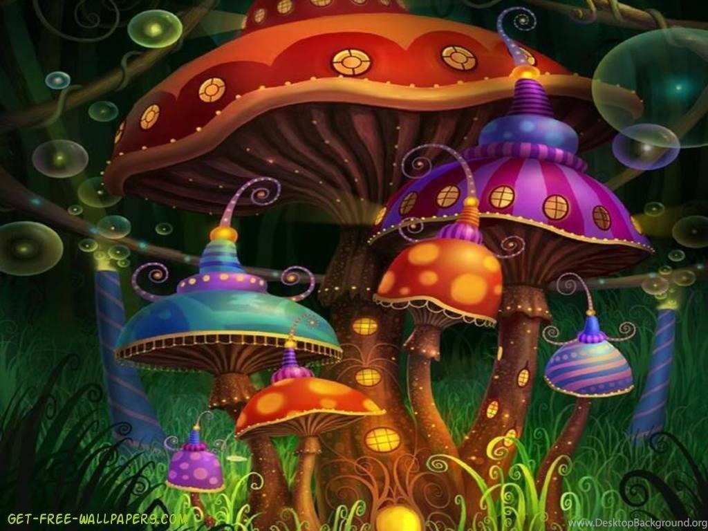 1024x768 Magic Mushroom Wallpaper Desktop Background