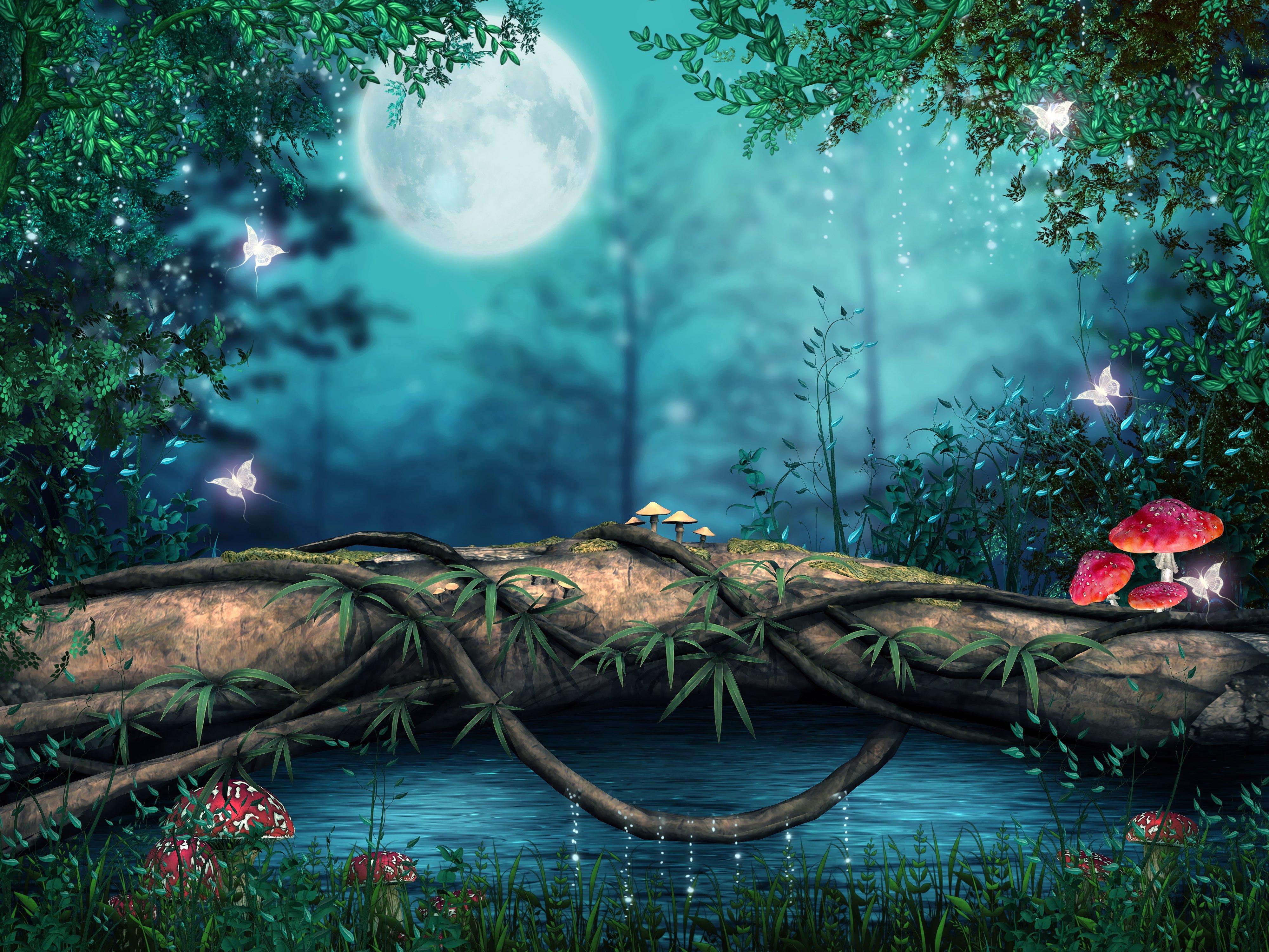 4000x3000 Free download forest artwork art mushroom magical butterfly wallpaper background [4000x3000] for your Desktop, Mobile & Tablet. Explore 3D Mushroom Wallpaper. Mario Mushroom Wallpaper, Morel Mushroom Wallpaper, Trippy Mushroom Wallpaper