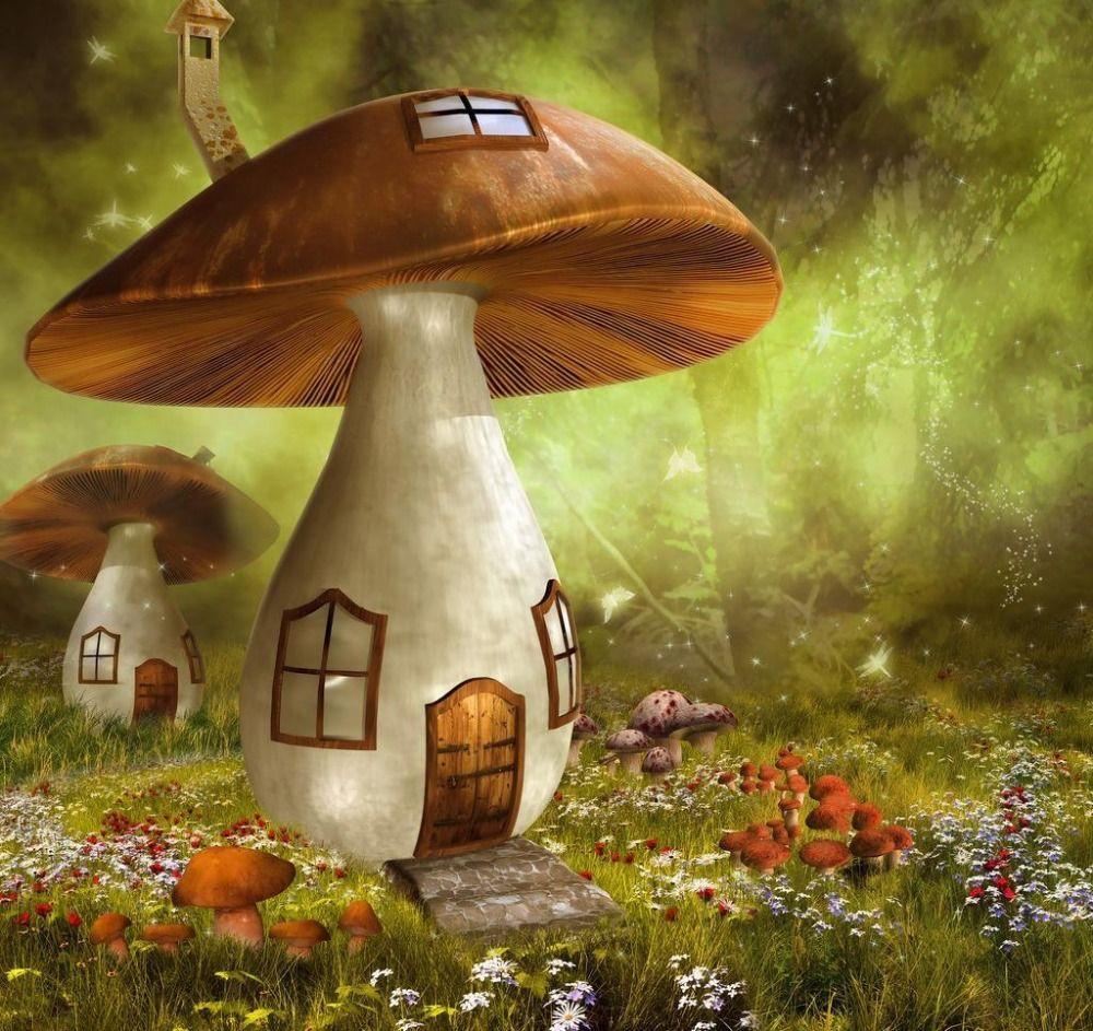 1000x943 Only $15.00 Dream Forest Mushroom Backdrop For Children [1Newborn And Children14]. Mushroom House, Photography Backdrops, Magical Forest