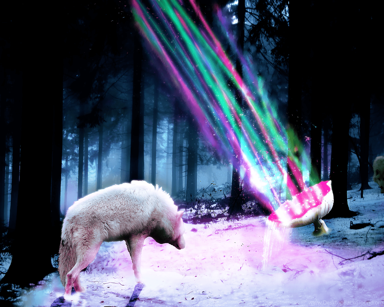 1280x1024 Zak's Forest Magic Mushroom 01 By Z Designs Desktop Background