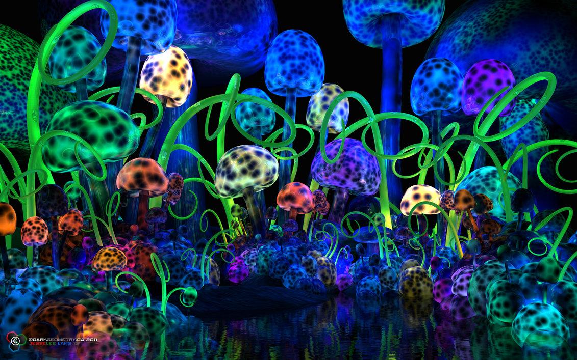 1131x707 Magic mushroom wallpaper