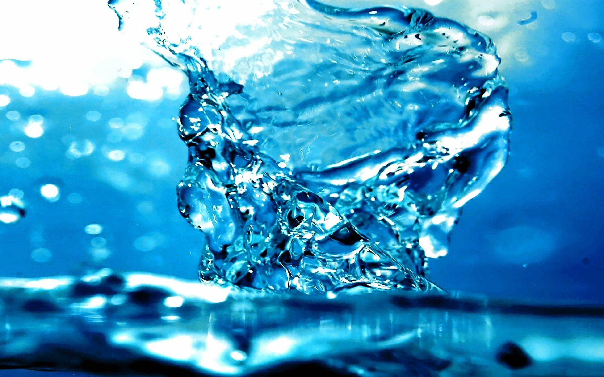 2560x1600 Clear water wallpaper [DOWNLOAD FREE]