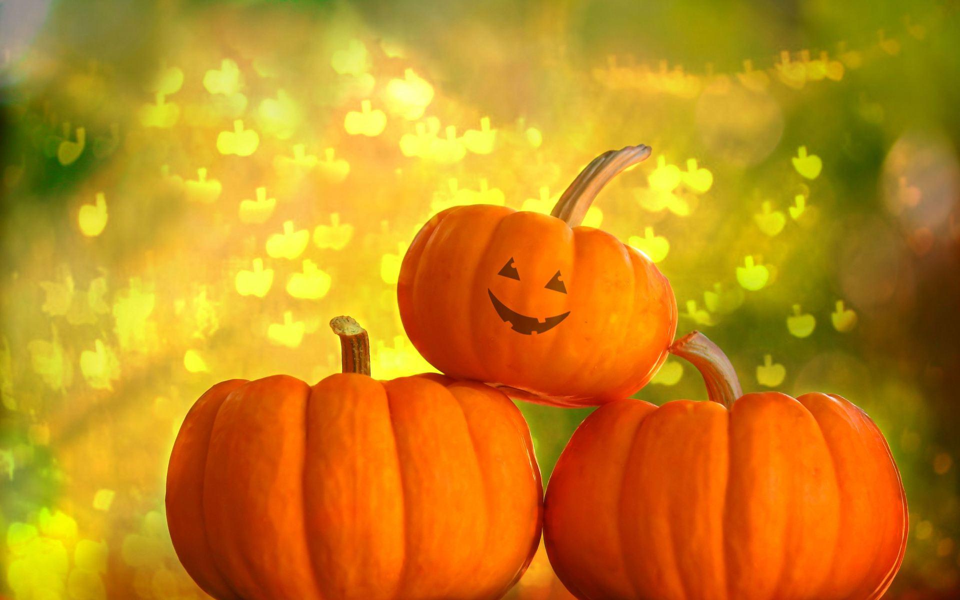 Cute Pumpkin Desktop Wallpapers - Top Free Cute Pumpkin Desktop ...