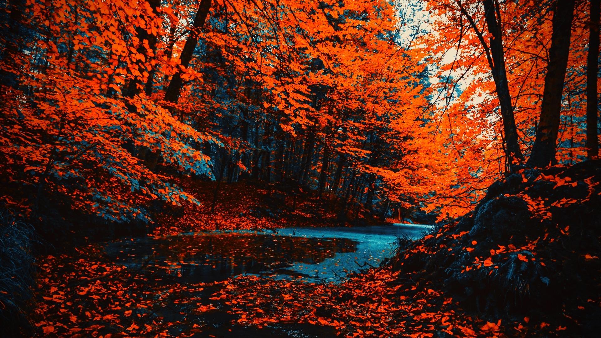 1920x1080 Deskk Wallpaper 2021 Free Download