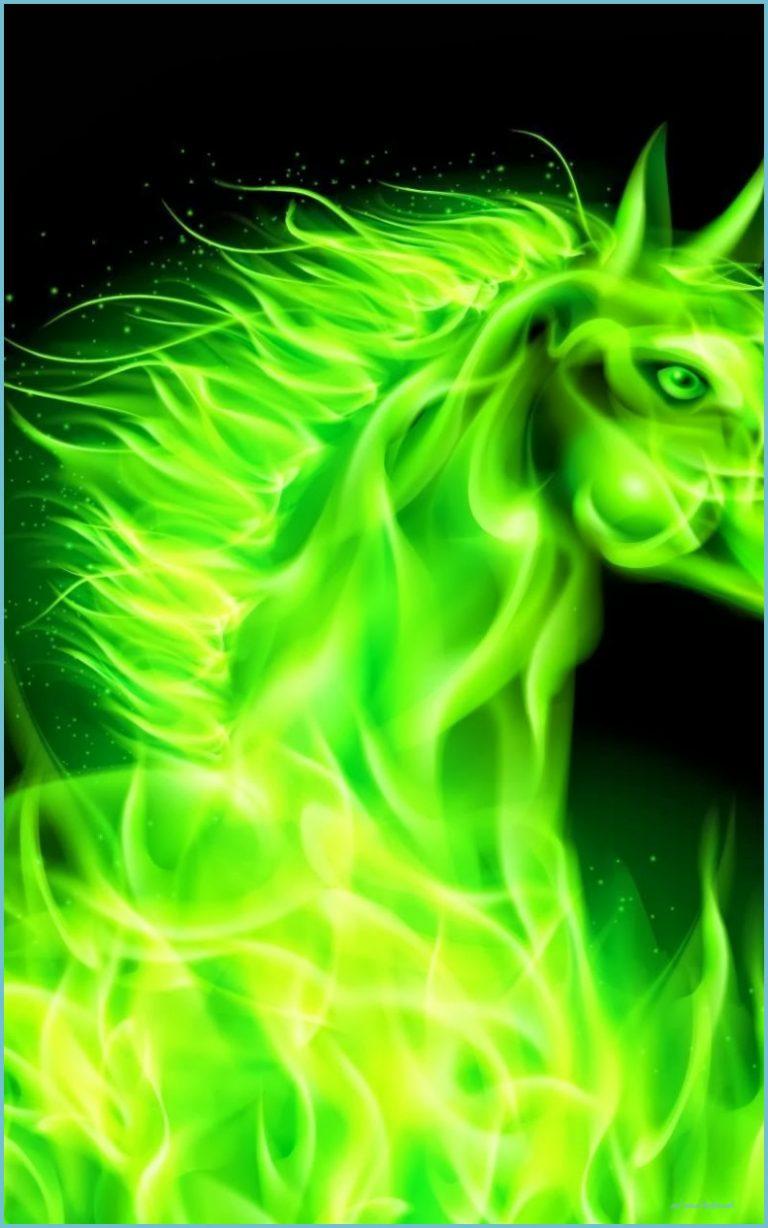 768x1228 Free Download Cool Colorful Animal Background Animal Wallpaper Animal Background
