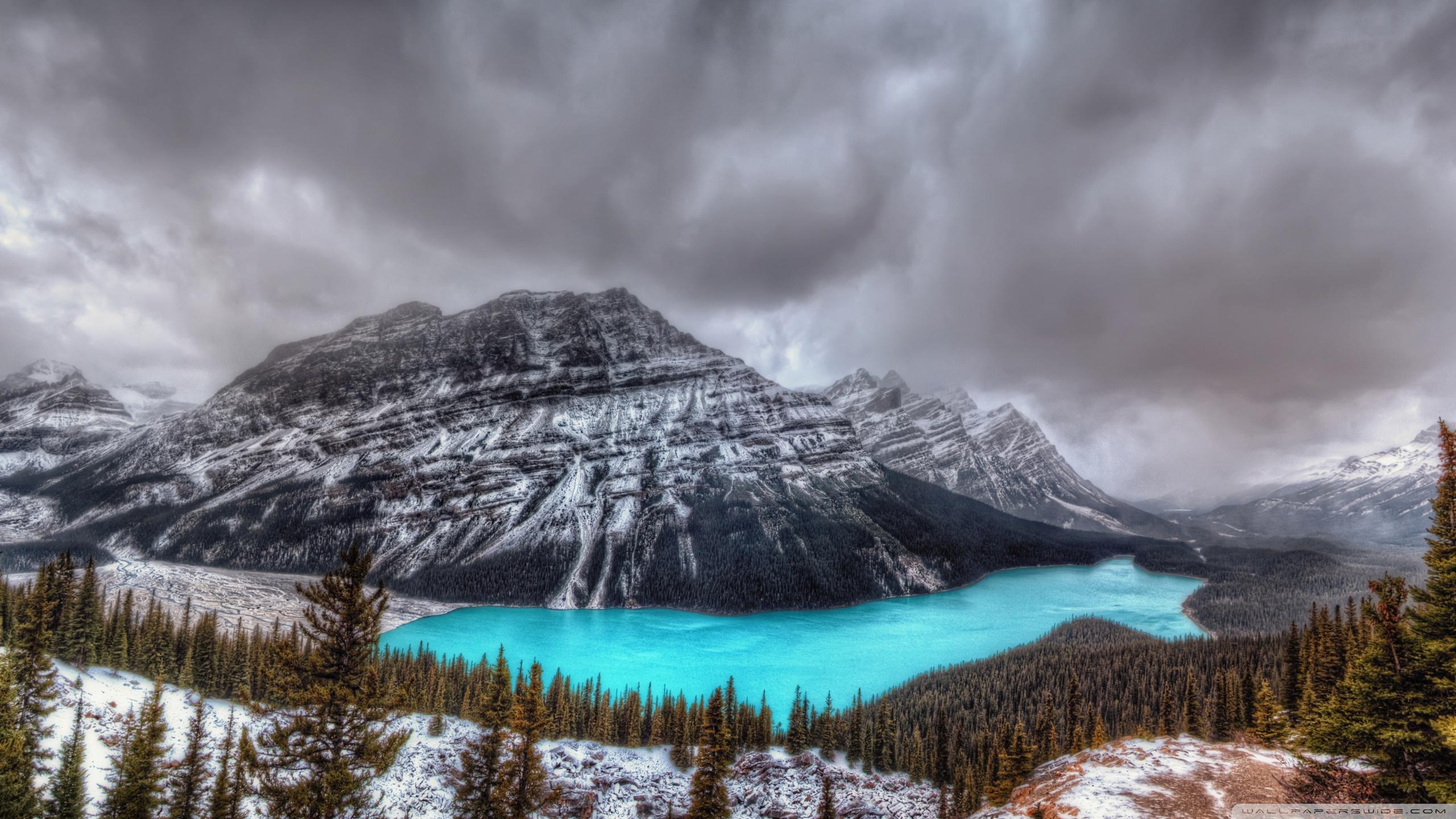2560x1440 Peyto Lake, Canadian Rockies, Banff National Park Ultra HD Desktop Background Wallpaper for 4K UHD TV : Widescreen & UltraWide Desktop & Laptop : Multi Display, Dual & Triple Monitor : Tablet
