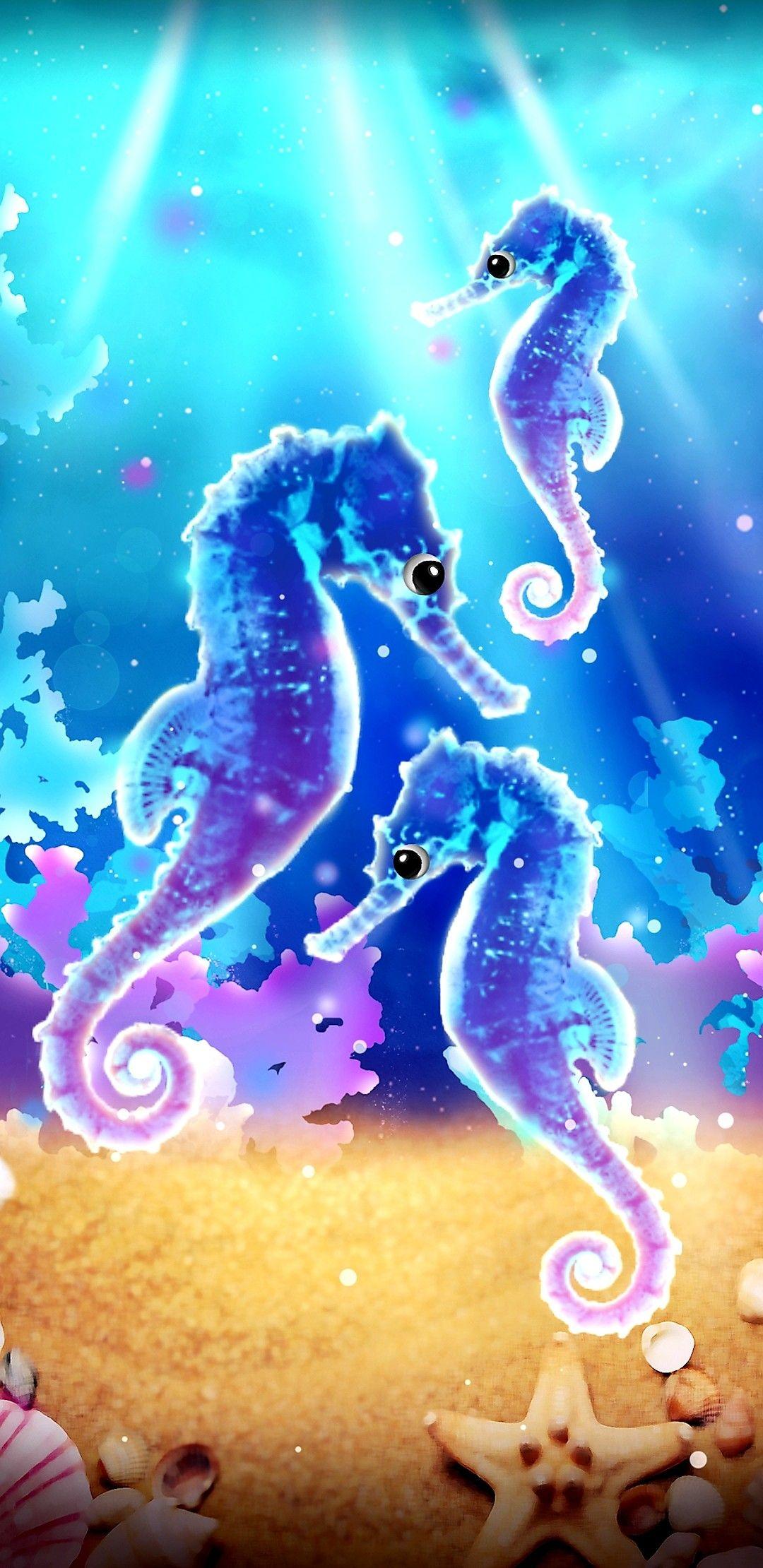 1080x2220 Beautiful Colorful Seahorses. Colorful seahorse, Wallpaper background, Art impressions cards