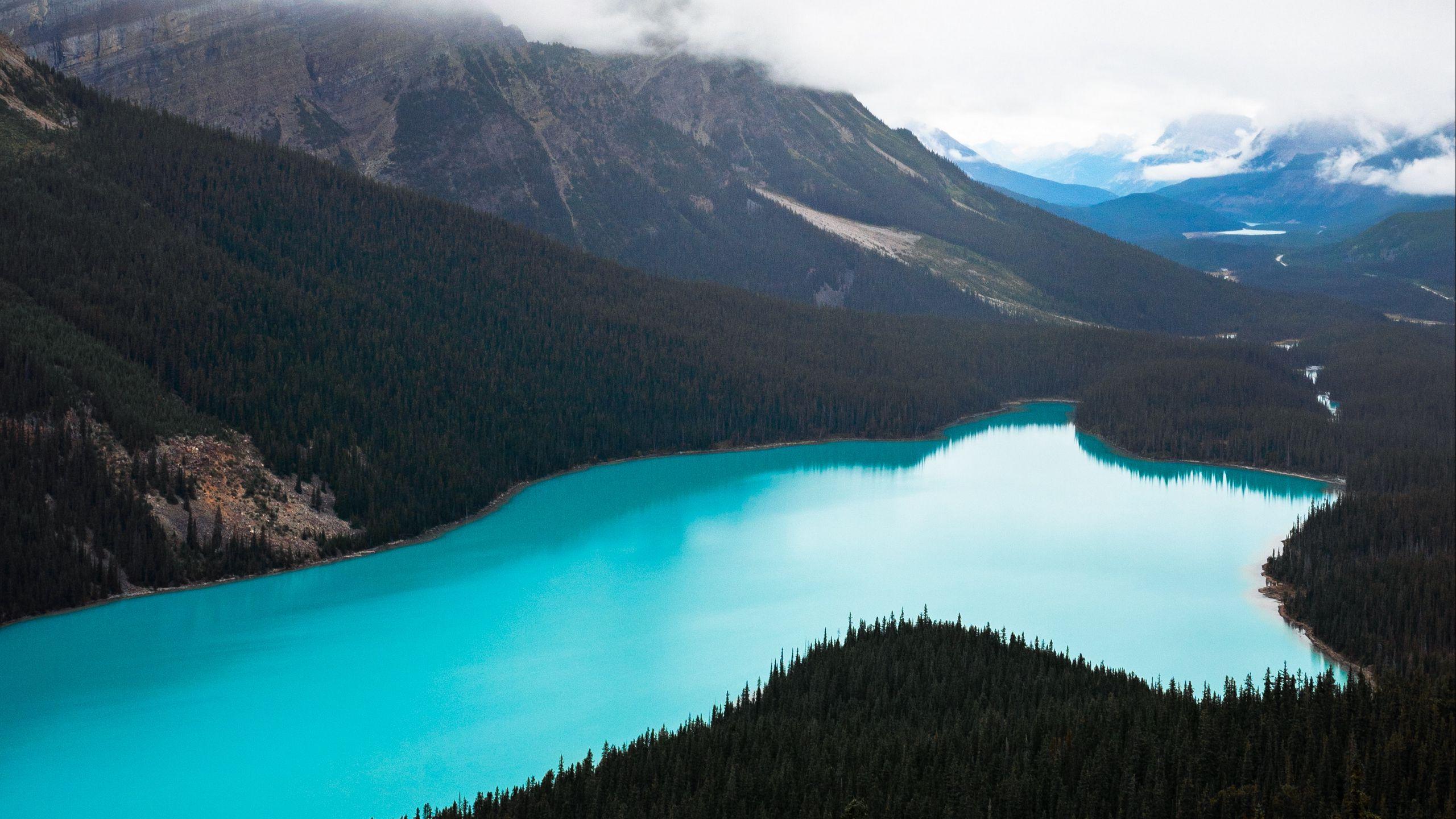 2560x1440 Download wallpaper 2560x1440 lake, forest, mountains, aerial view, landscape widescreen 16:9 HD background