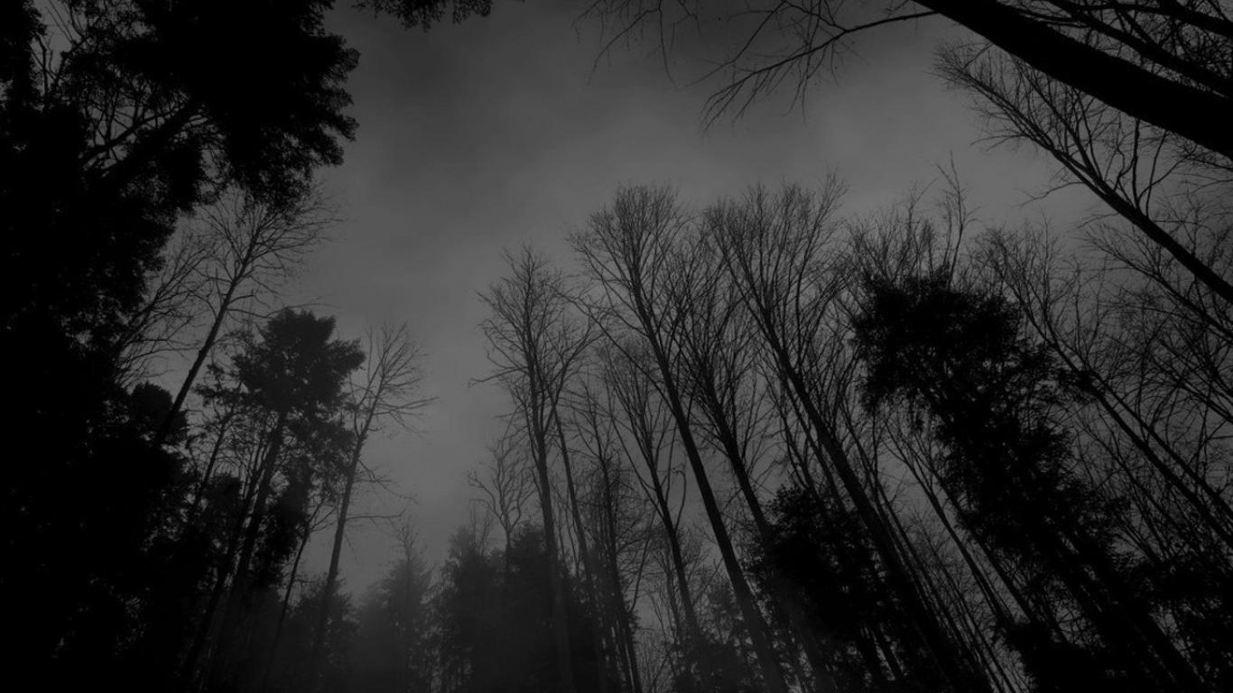 1366x768 Dark Wallpaper 1366x768