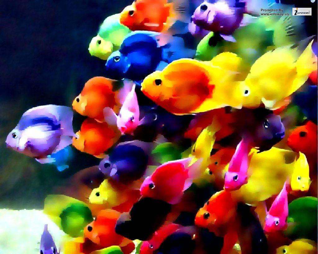 1024x819 Colorful Ocean Wallpaper