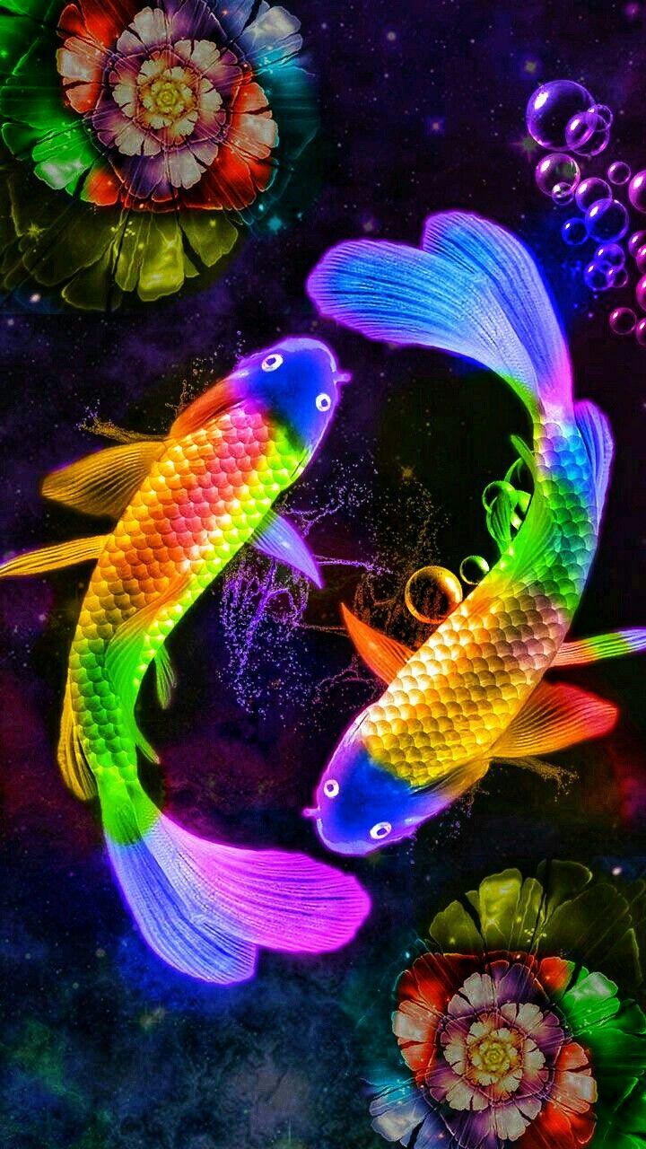 720x1280 Dreams 2. Fish wallpaper iphone, Fish wallpaper, Live fish wallpaper