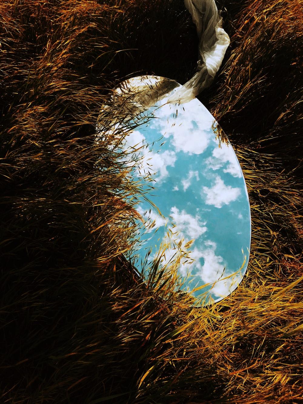 1000x1333 Mirror Picture. Download Free Image