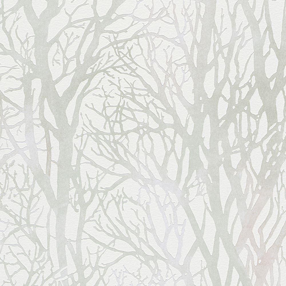 White Tree Wallpapers - Top Free White Tree Backgrounds - WallpaperAccess