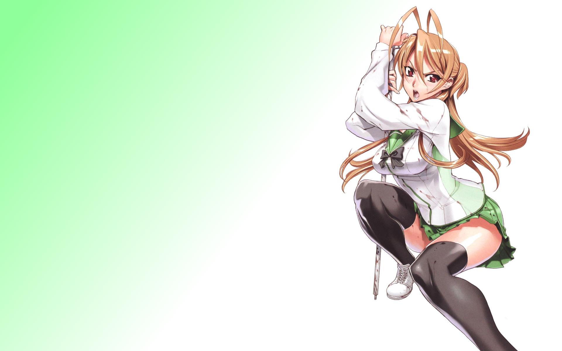 1920x1200 highschool of the dead miyamoto rei 1280x1024 wallpaper