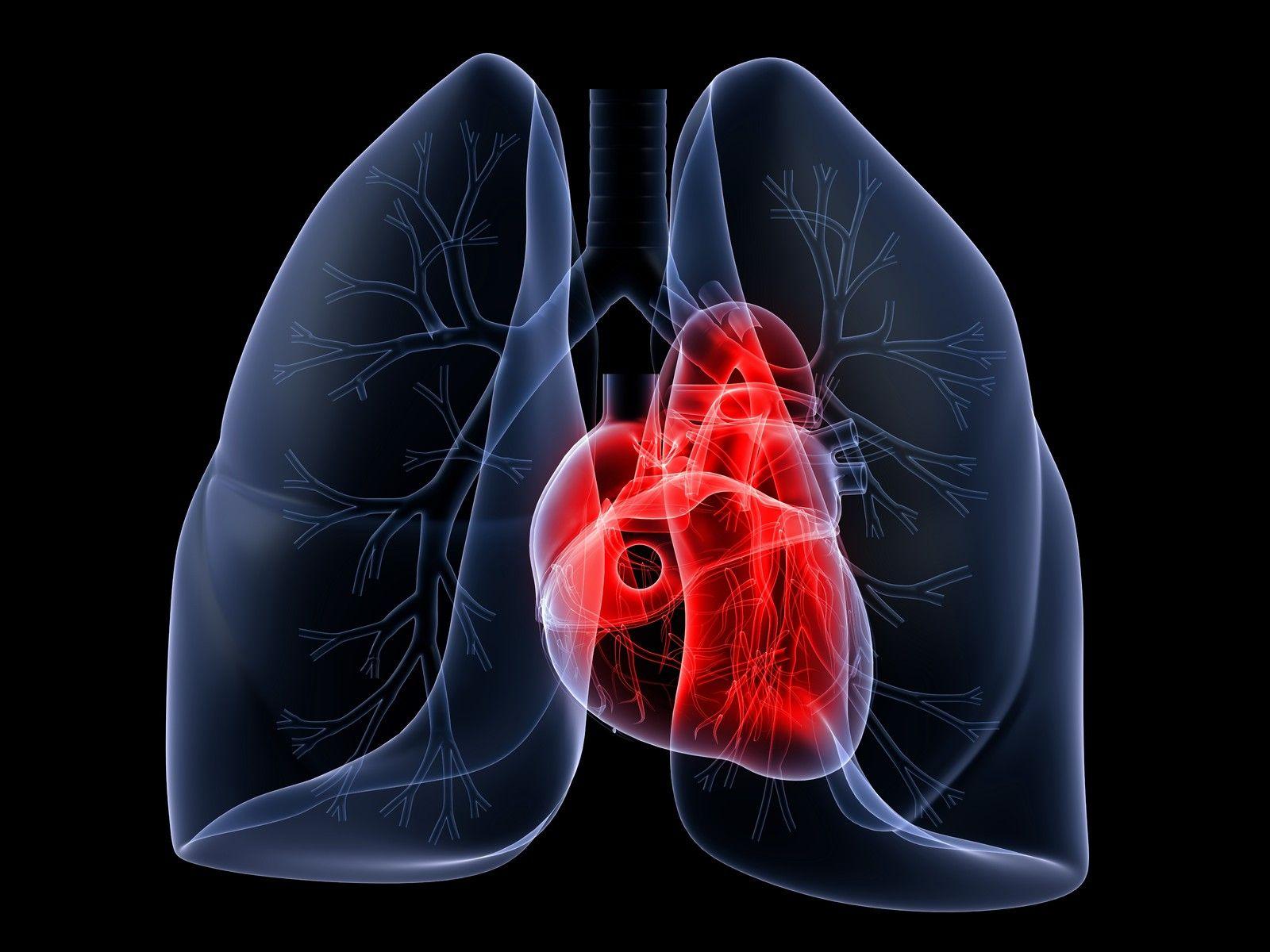 1600x1200 Lungs Wallpaper