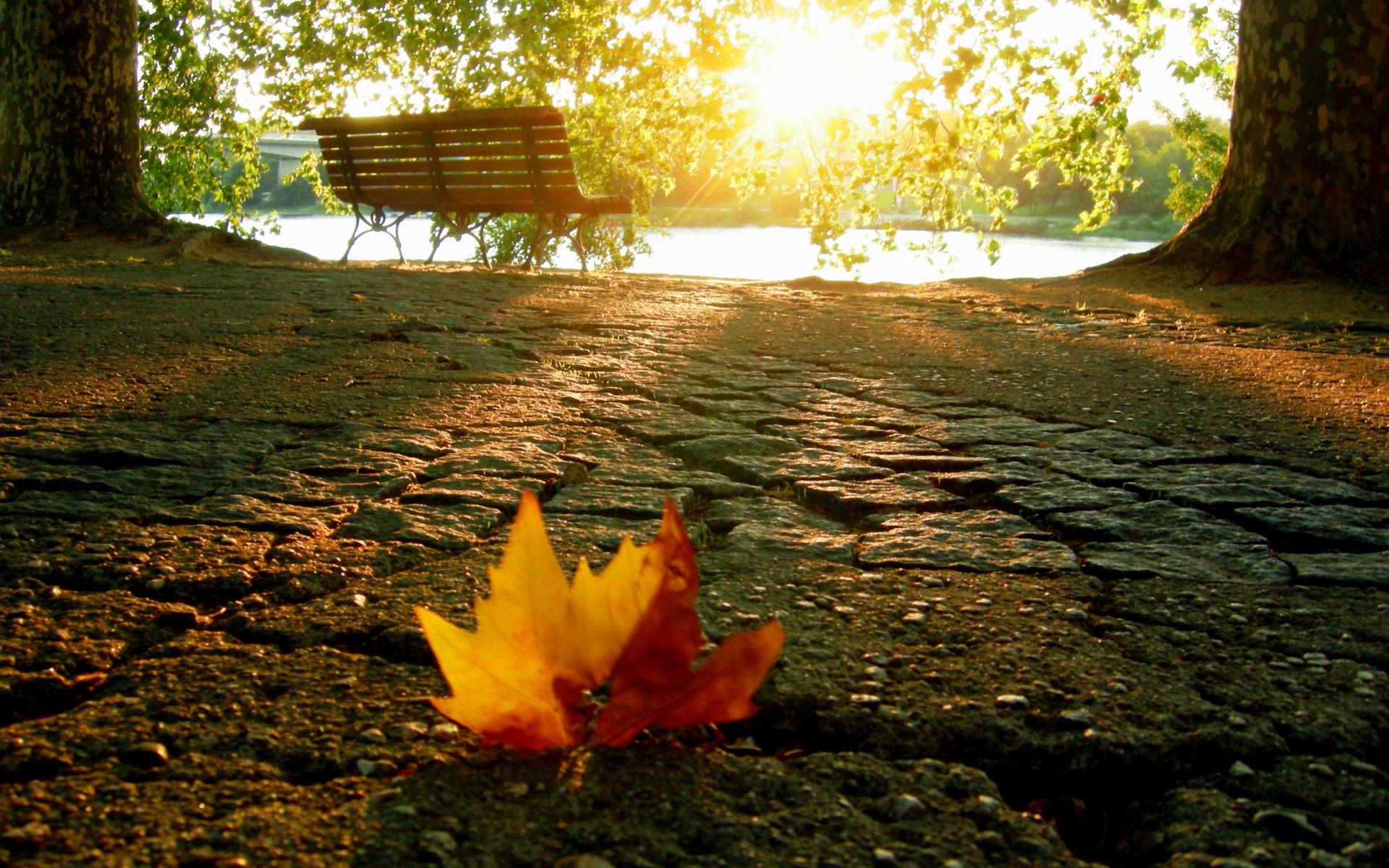 1920x1200 Autumn Sunsets Wallpaper Background