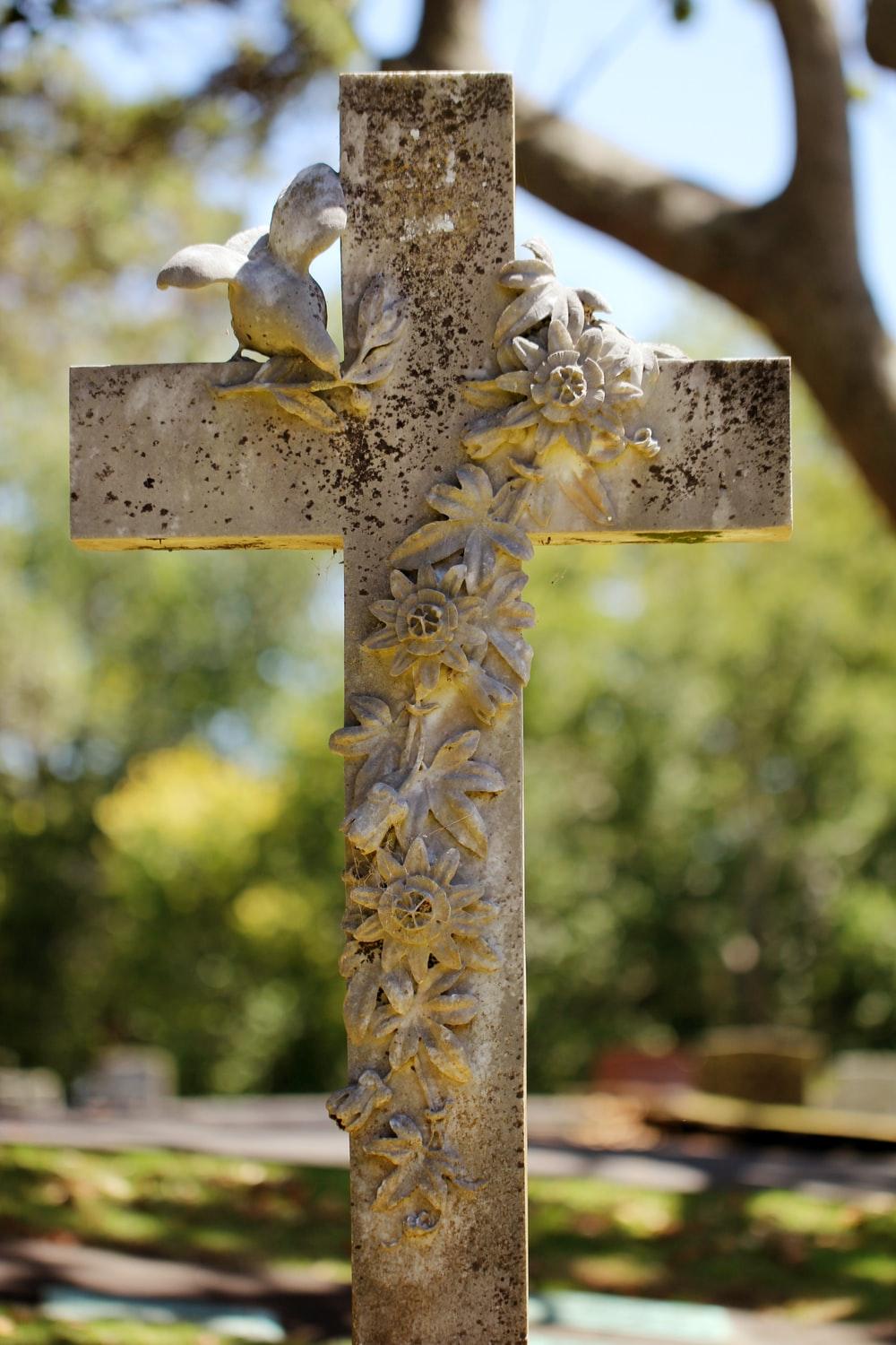 1000x1500 Holy Ghost Picture. Download Free Image