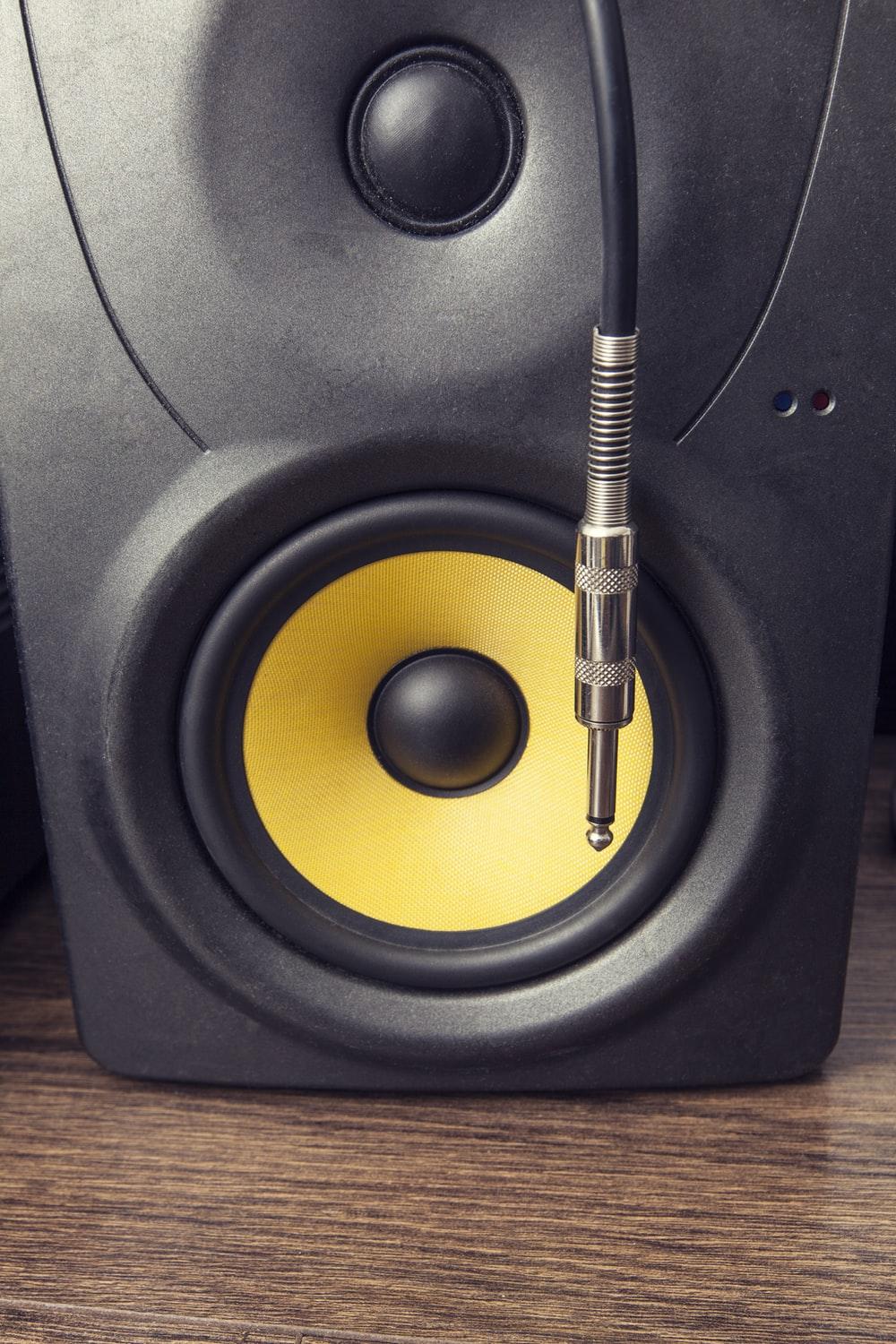 1000x1500 Bass Picture. Download Free Image