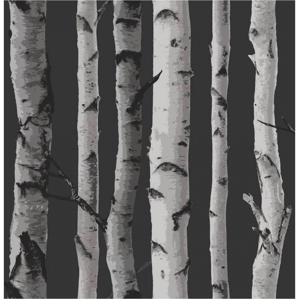 1000x1000 Tree Wallpaper. I Love Wallpaper