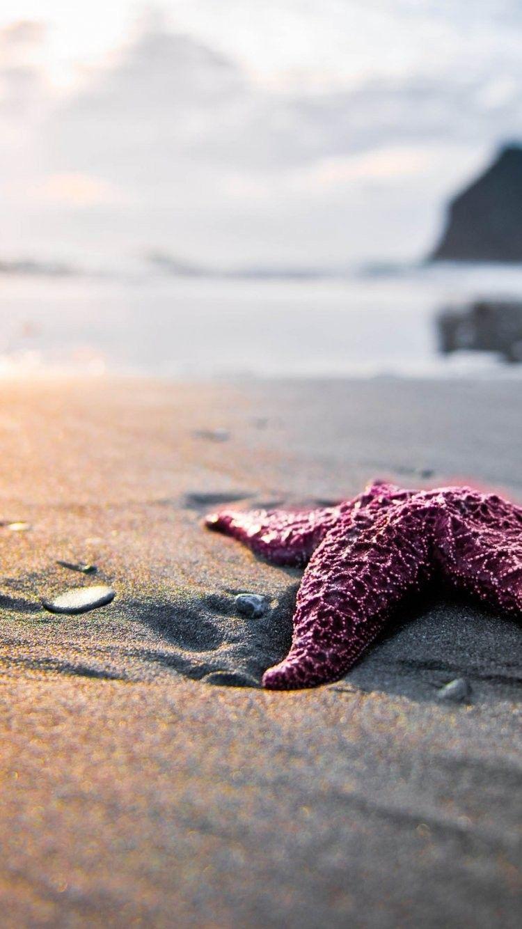 tumblr beach desktop wallpapers