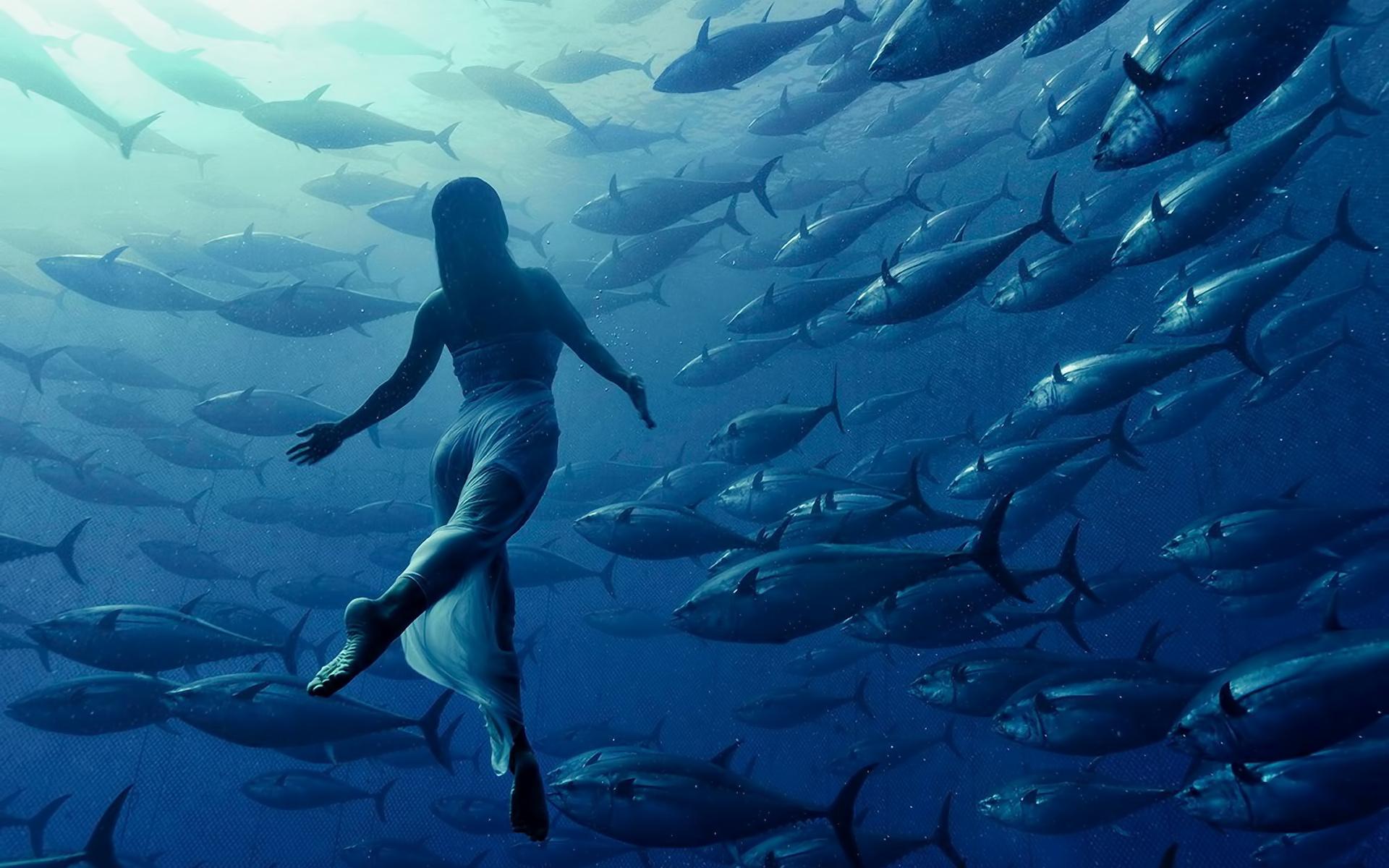 1920x1200 Free download Tuna Computer Wallpaper Desktop Background 1920x1200 [1920x1200] for your Desktop, Mobile & Tablet. Explore Tuna Wallpaper. Tuna Wallpaper